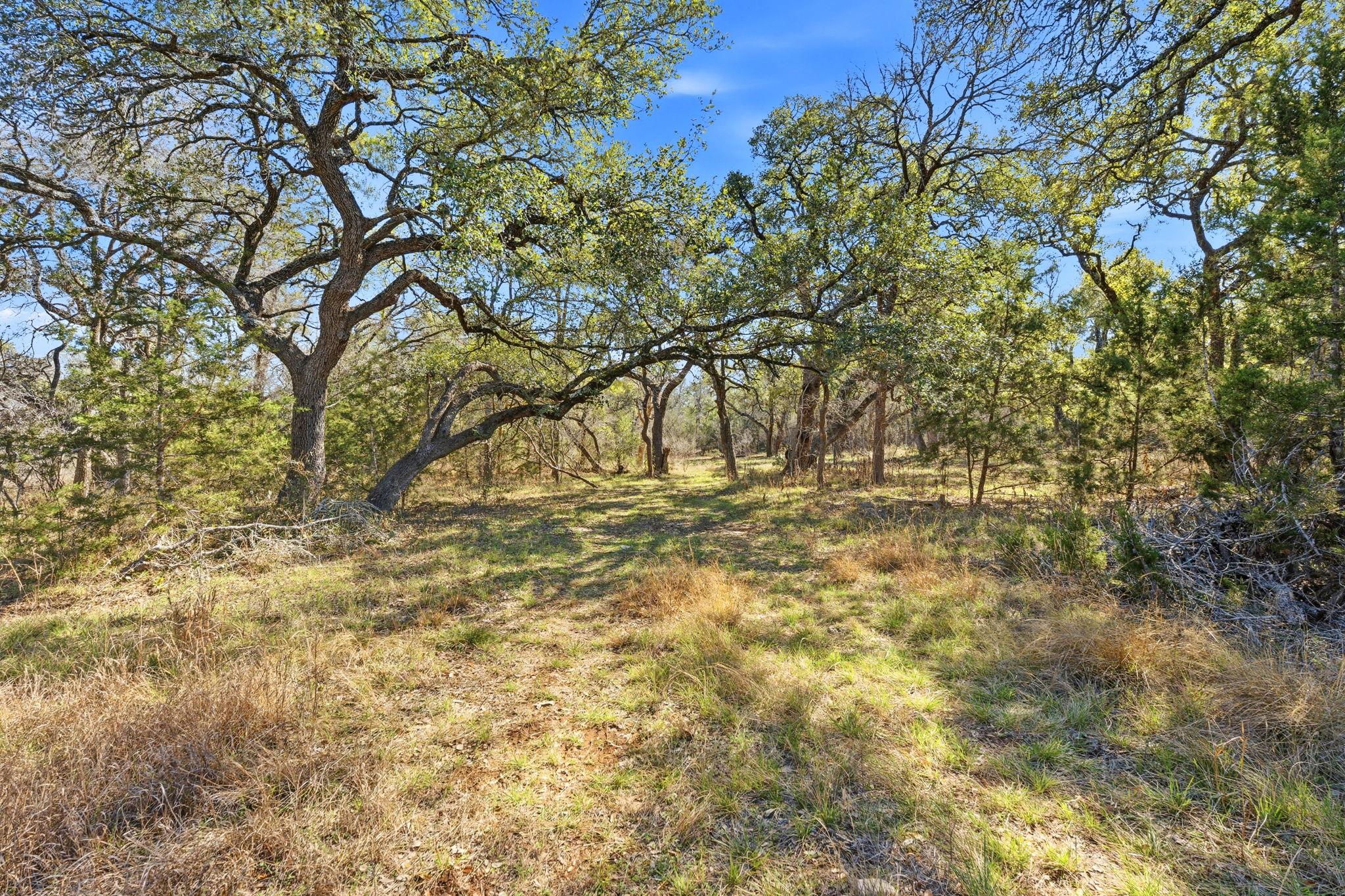 1081 Clark Cv, Buda, TX 78610