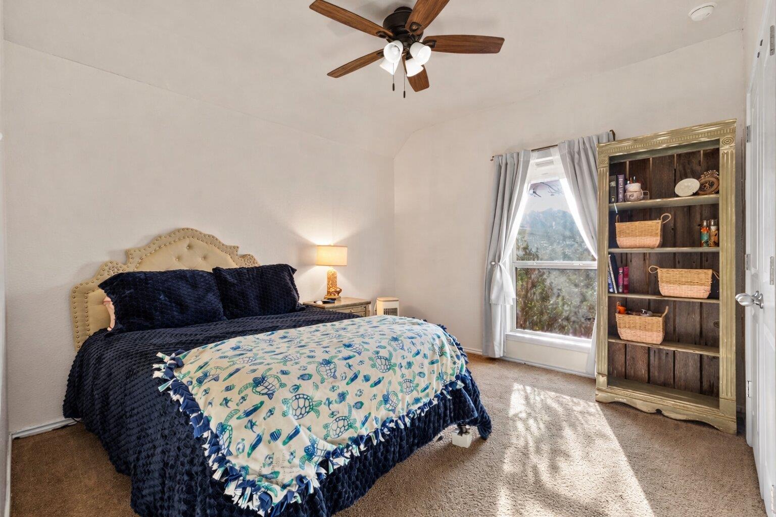 137 Fire Wheel Pass, Liberty Hill, TX 78642