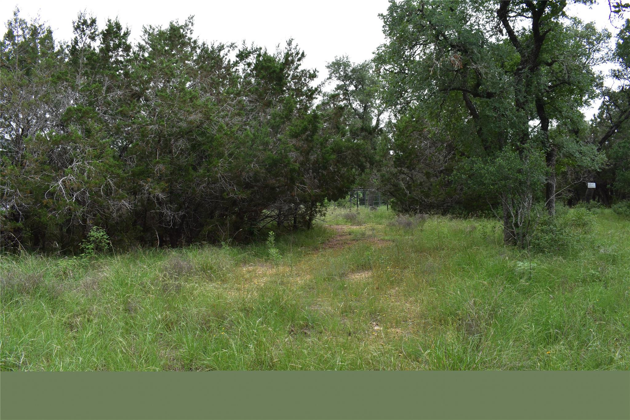 2315 Haven Bluff Ct, New Braunfels, TX 78132