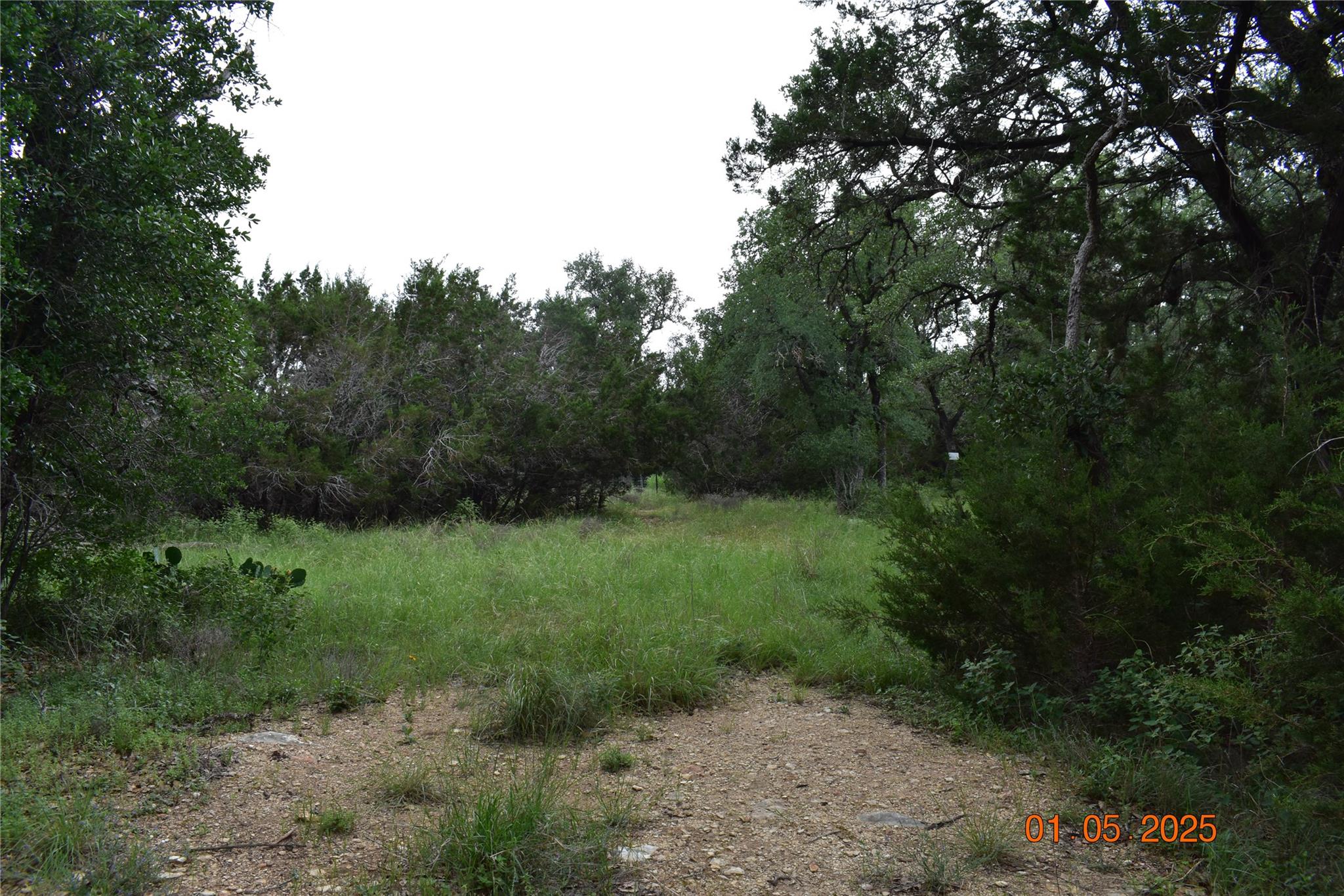 2315 Haven Bluff Ct, New Braunfels, TX 78132