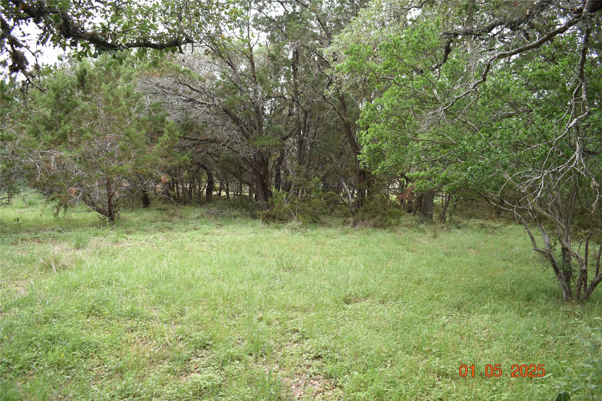 2315 Haven Bluff Ct, New Braunfels, TX 78132