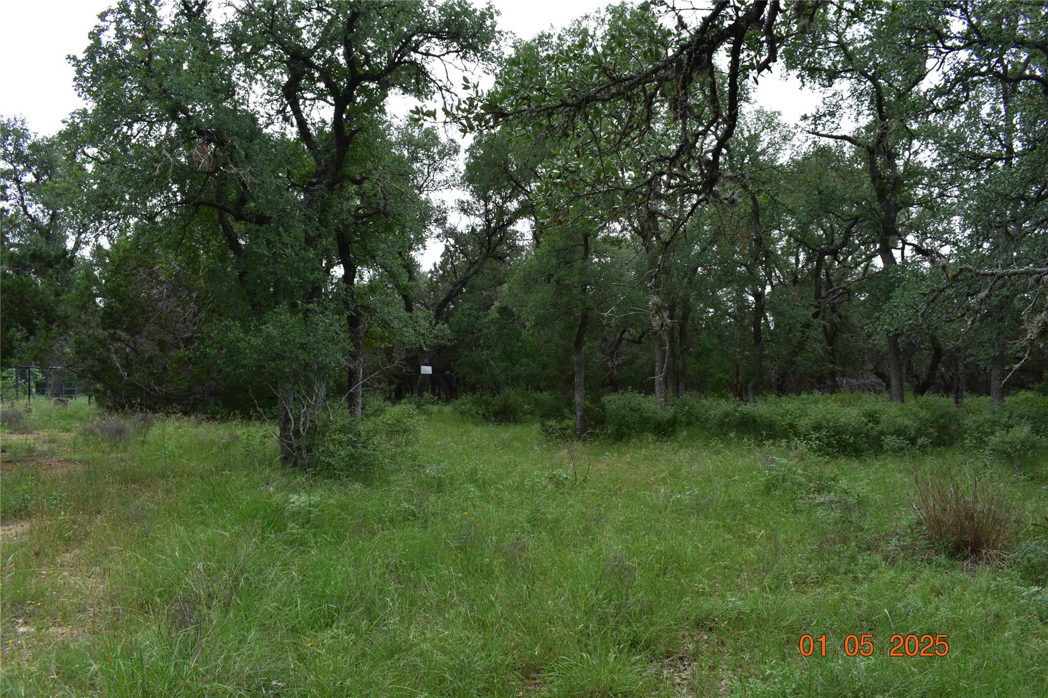 2315 Haven Bluff Ct, New Braunfels, TX 78132