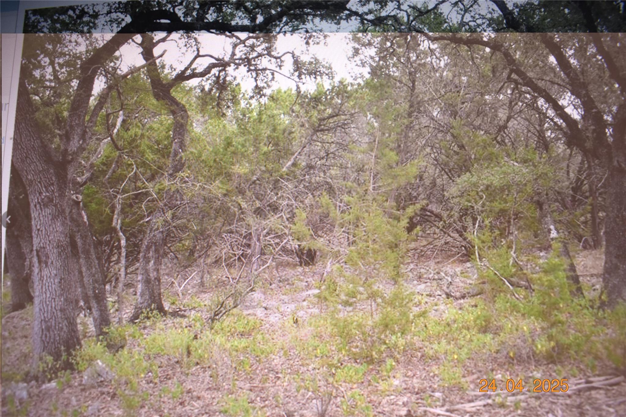 2315 Haven Bluff Ct, New Braunfels, TX 78132