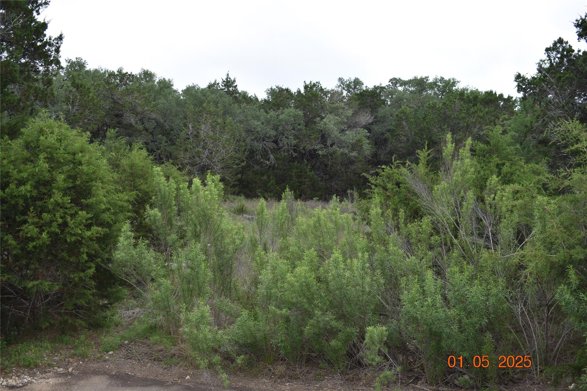 2315 Haven Bluff Ct, New Braunfels, TX 78132