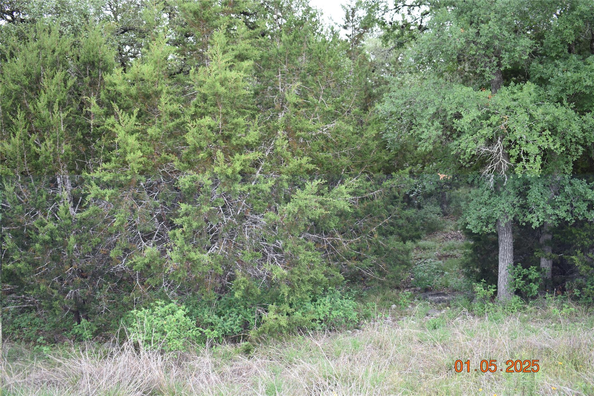 2315 Haven Bluff Ct, New Braunfels, TX 78132