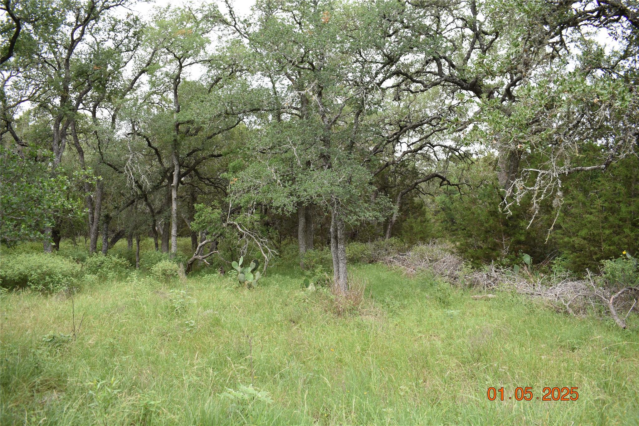 2315 Haven Bluff Ct, New Braunfels, TX 78132