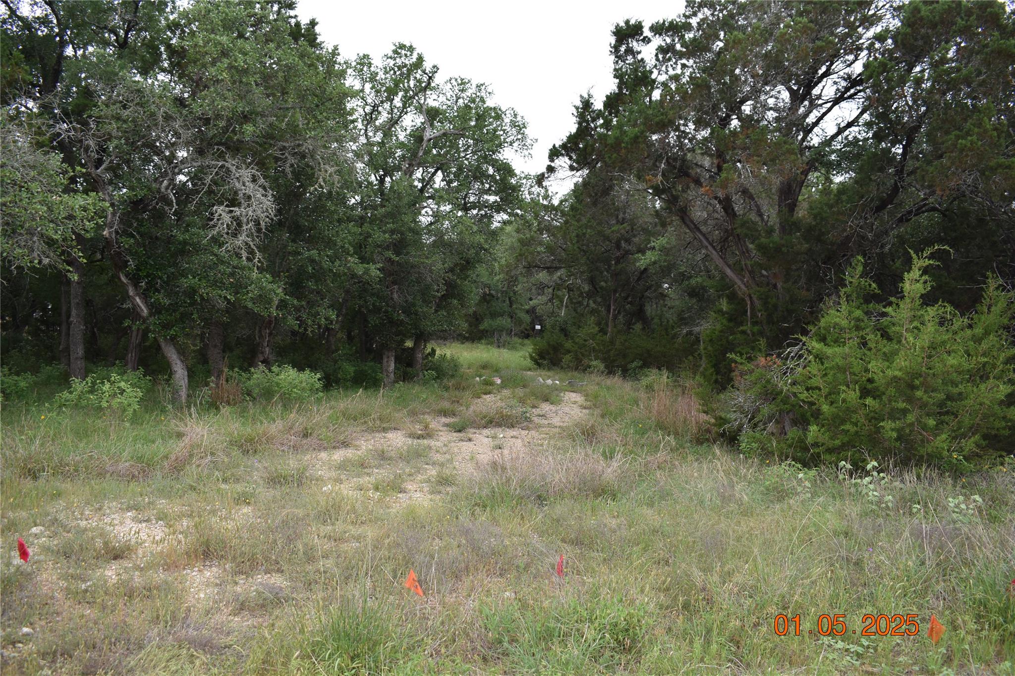 2315 Haven Bluff Ct, New Braunfels, TX 78132