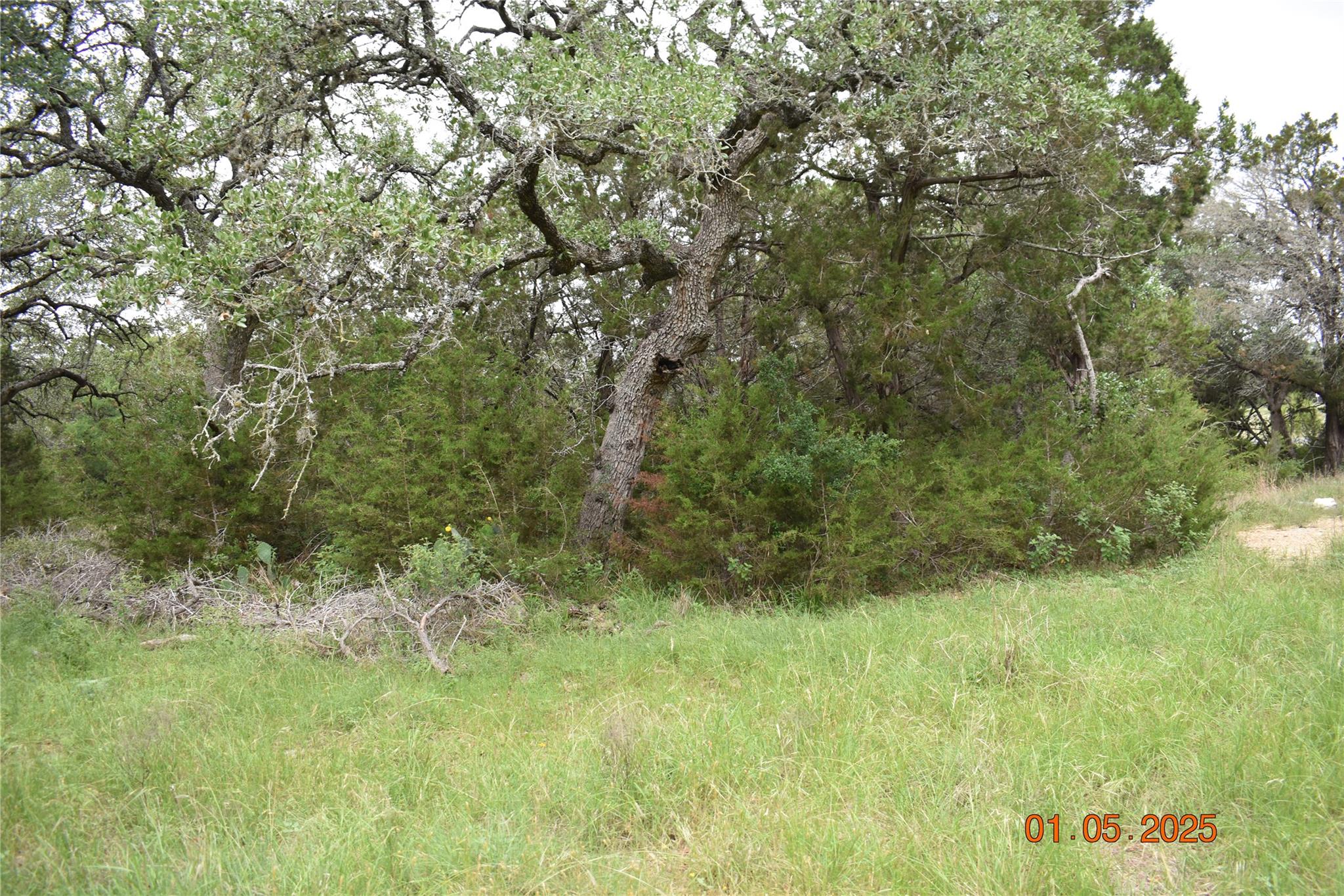 2315 Haven Bluff Ct, New Braunfels, TX 78132