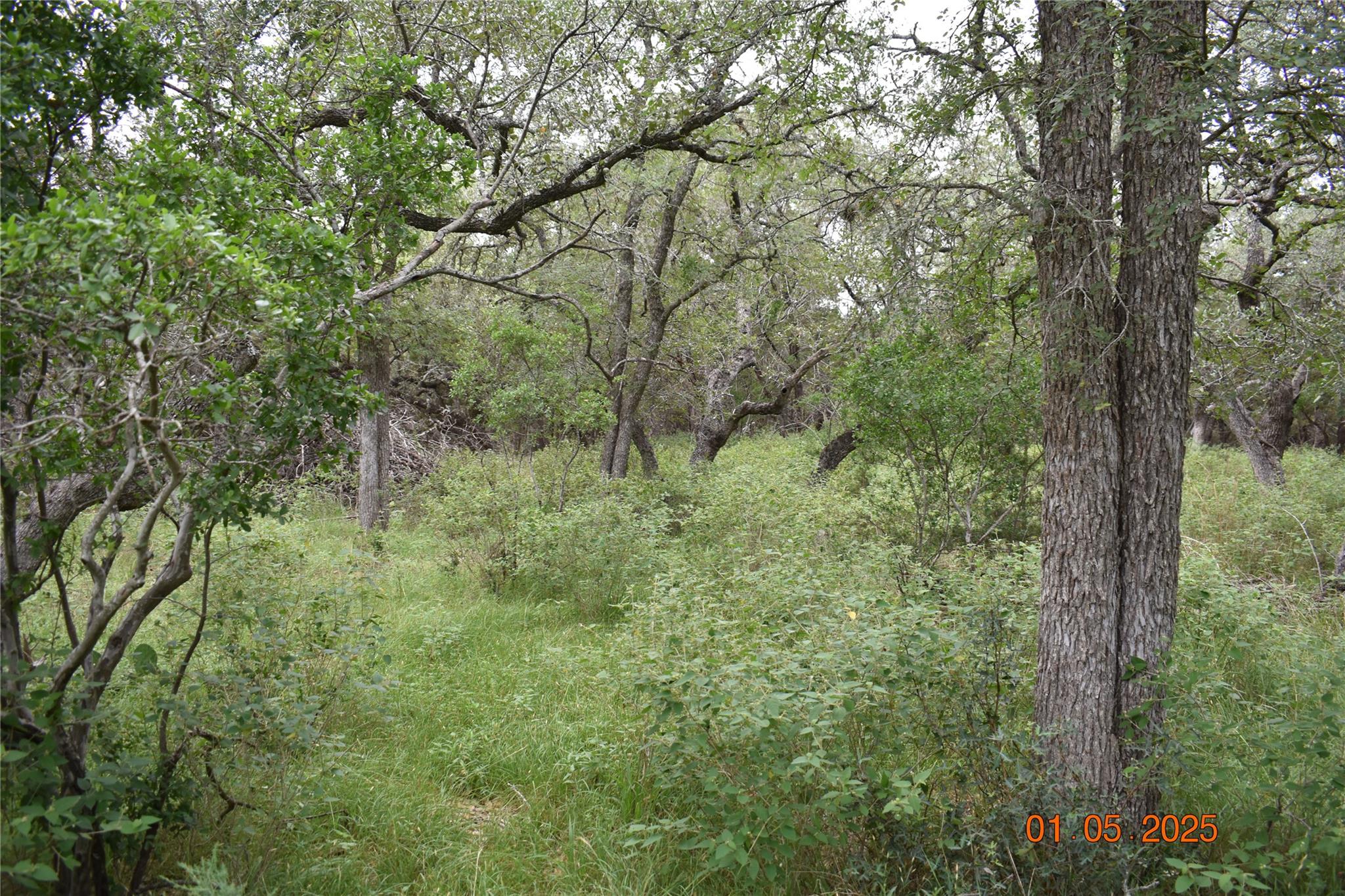 2315 Haven Bluff Ct, New Braunfels, TX 78132