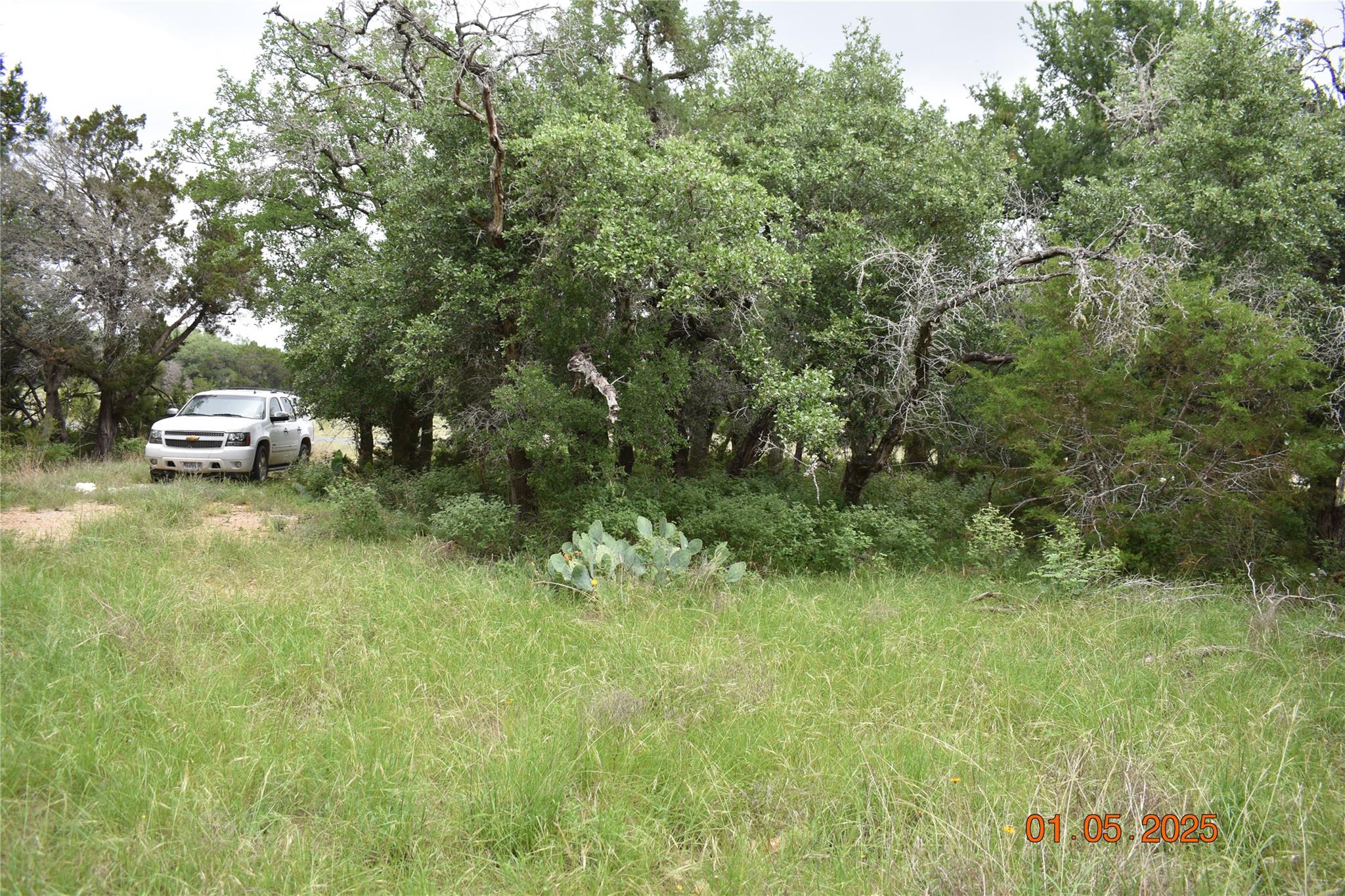 2315 Haven Bluff Ct, New Braunfels, TX 78132