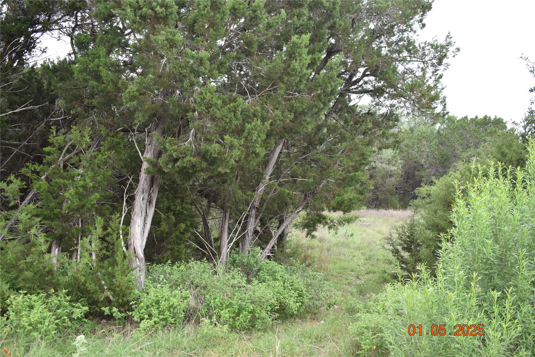 2315 Haven Bluff Ct, New Braunfels, TX 78132