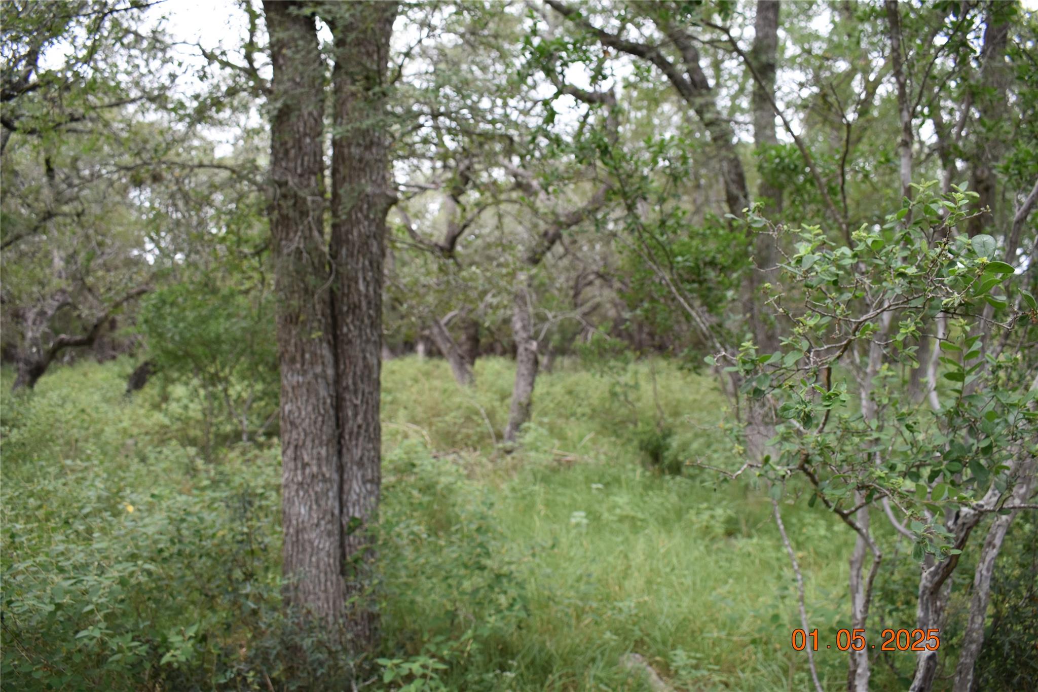 2315 Haven Bluff Ct, New Braunfels, TX 78132