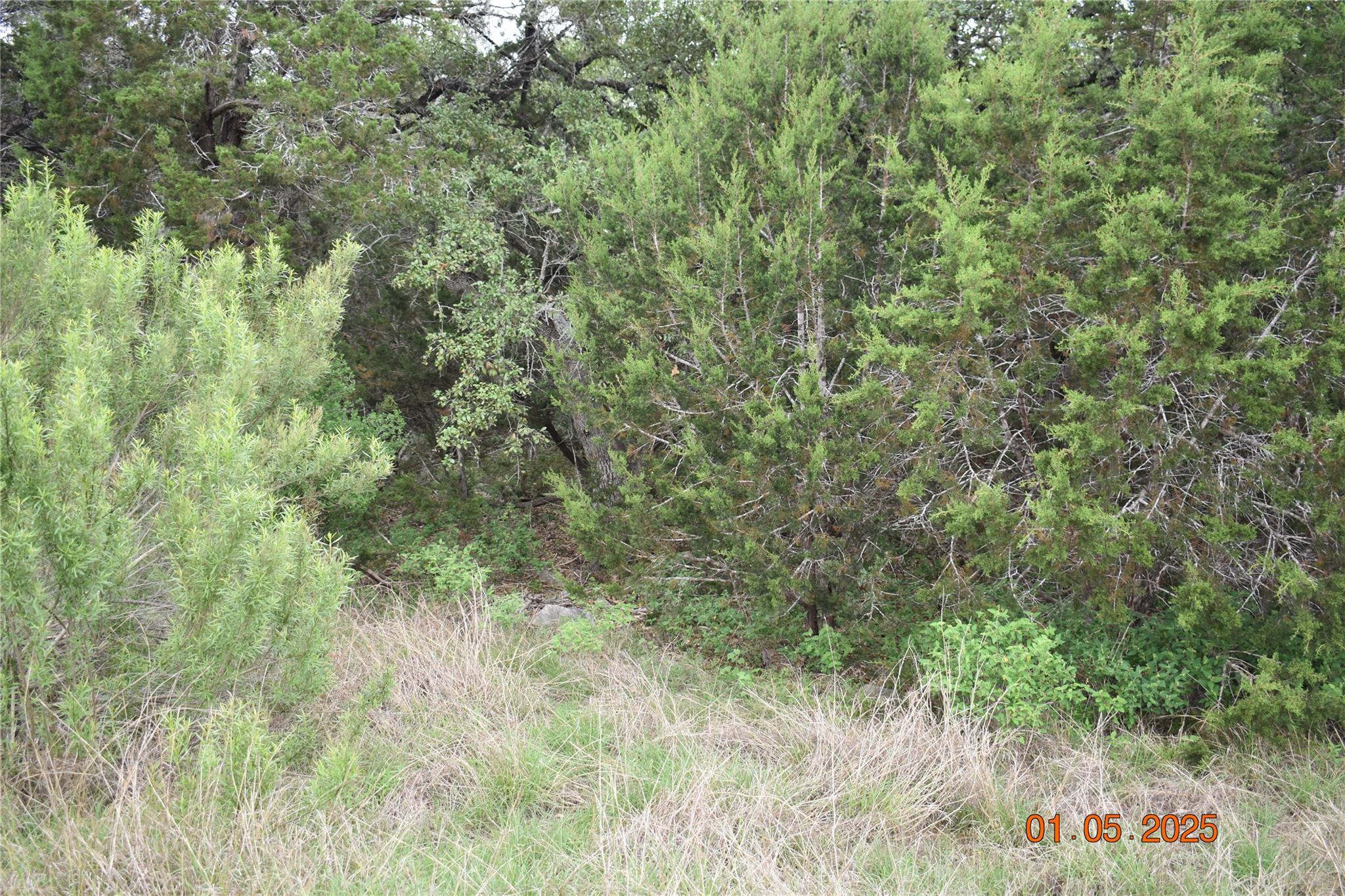 2315 Haven Bluff Ct, New Braunfels, TX 78132