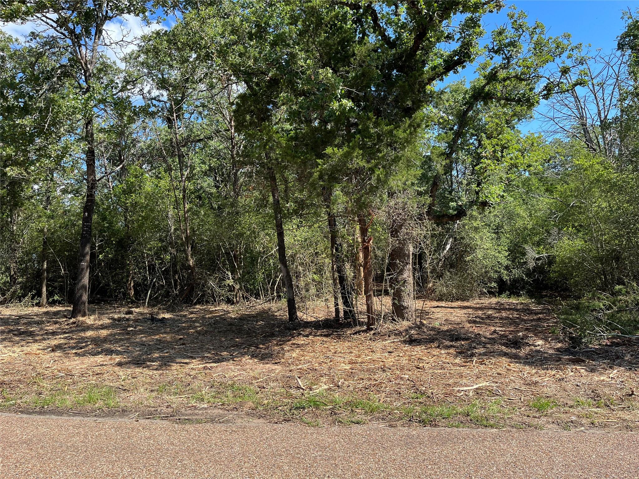 Lot 1 & 2 & 3 Old Lockhart Rd, Plum, TX 78952
