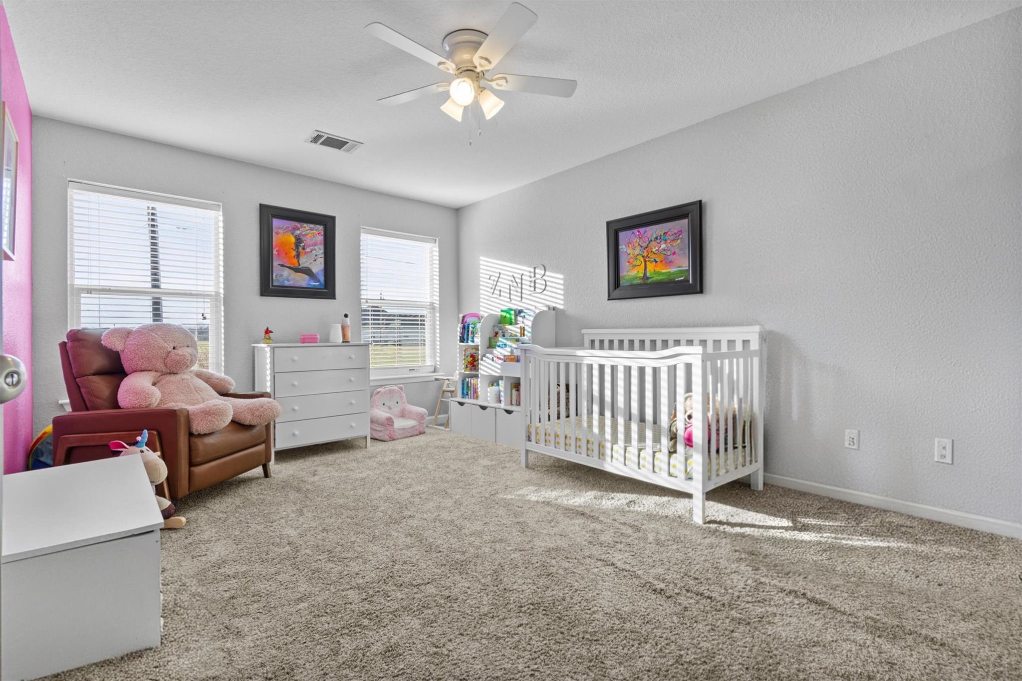 316 Brushy Creek Trl, Hutto, TX 78634