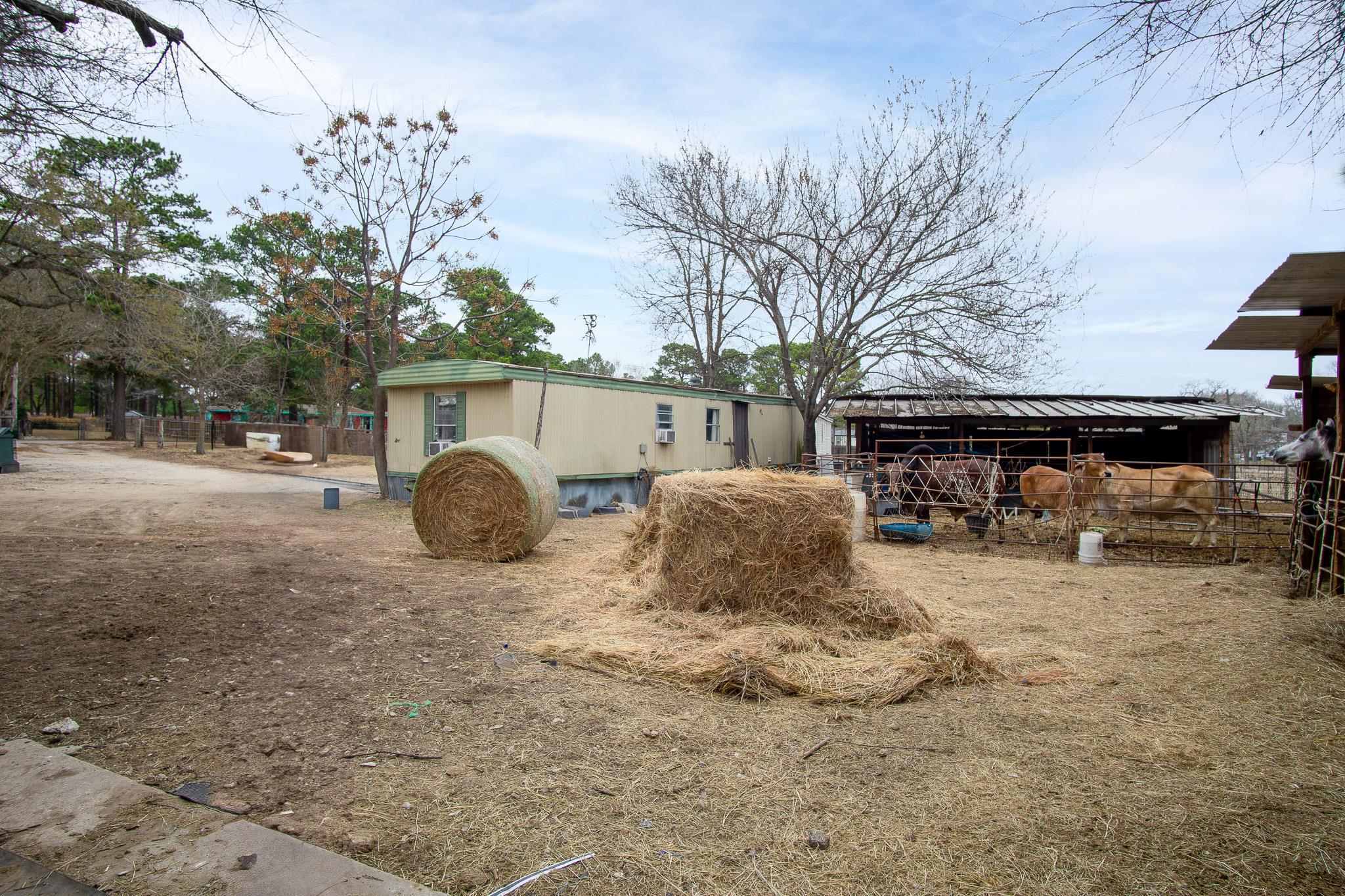 133 Horseshoe Dr, Bastrop, TX 78602