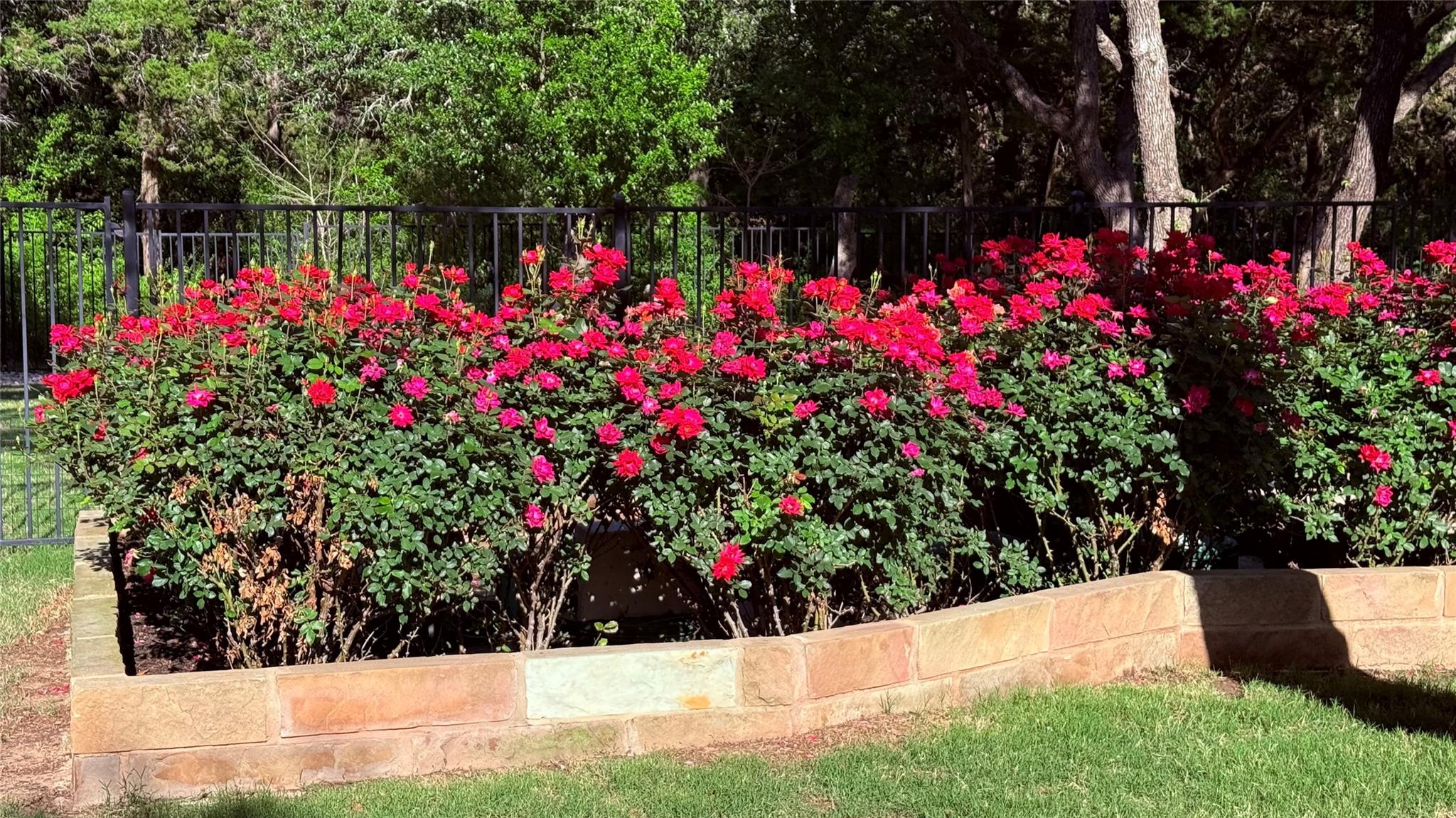 2640 Council Springs Pass, Leander, TX 78641