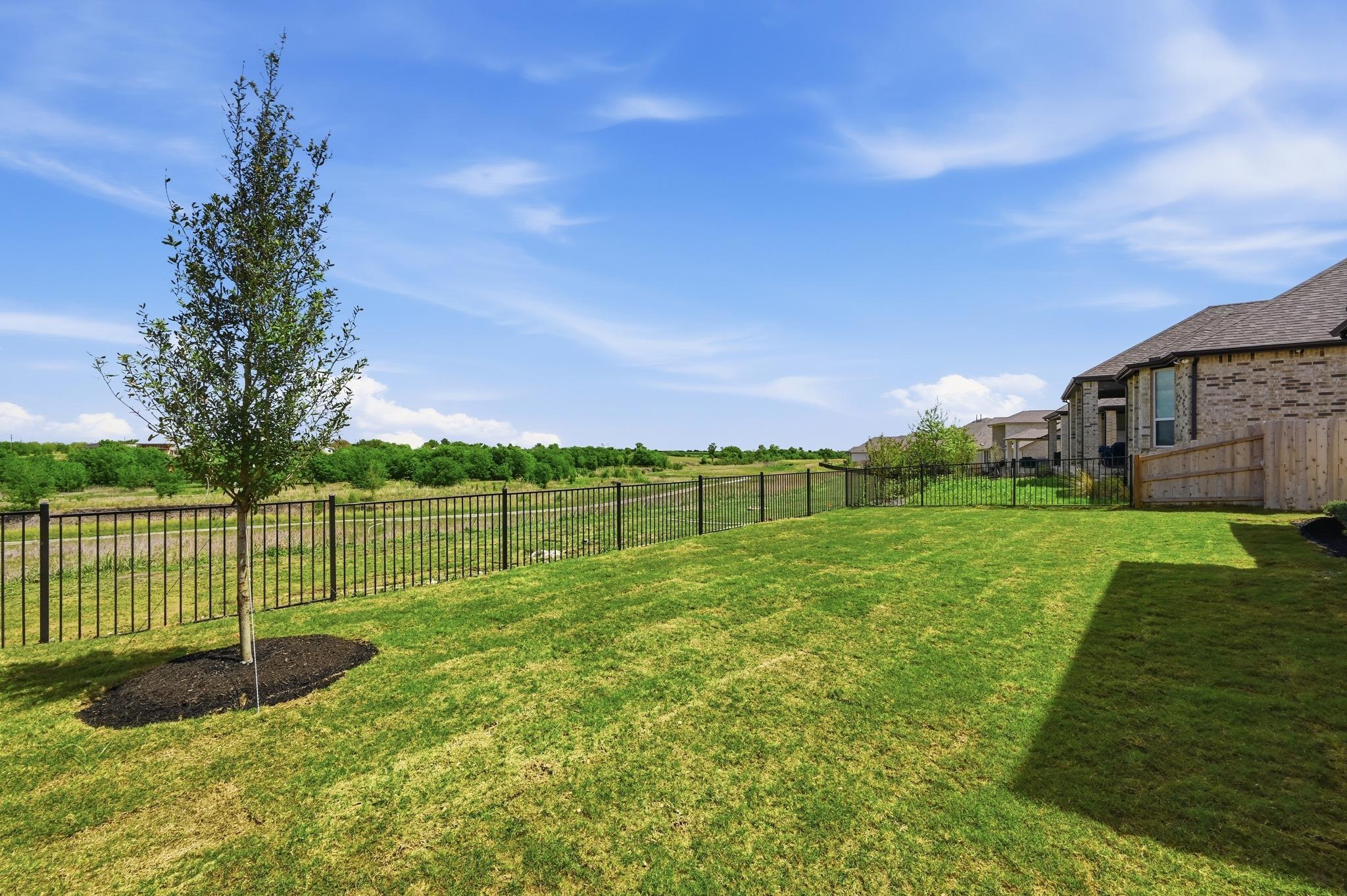 805 Rock Daisy Trl, Hutto, TX 78634