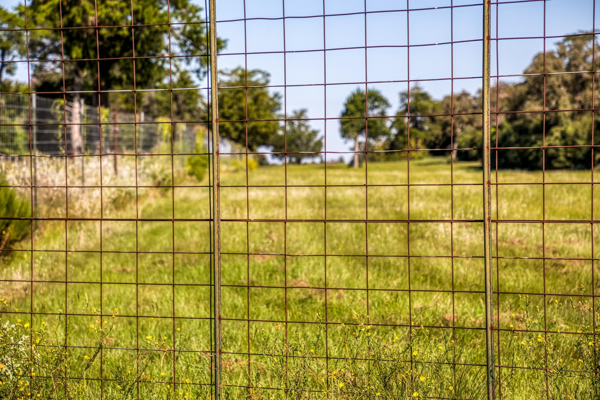 3336 County Road 326, Lexington, TX 78947