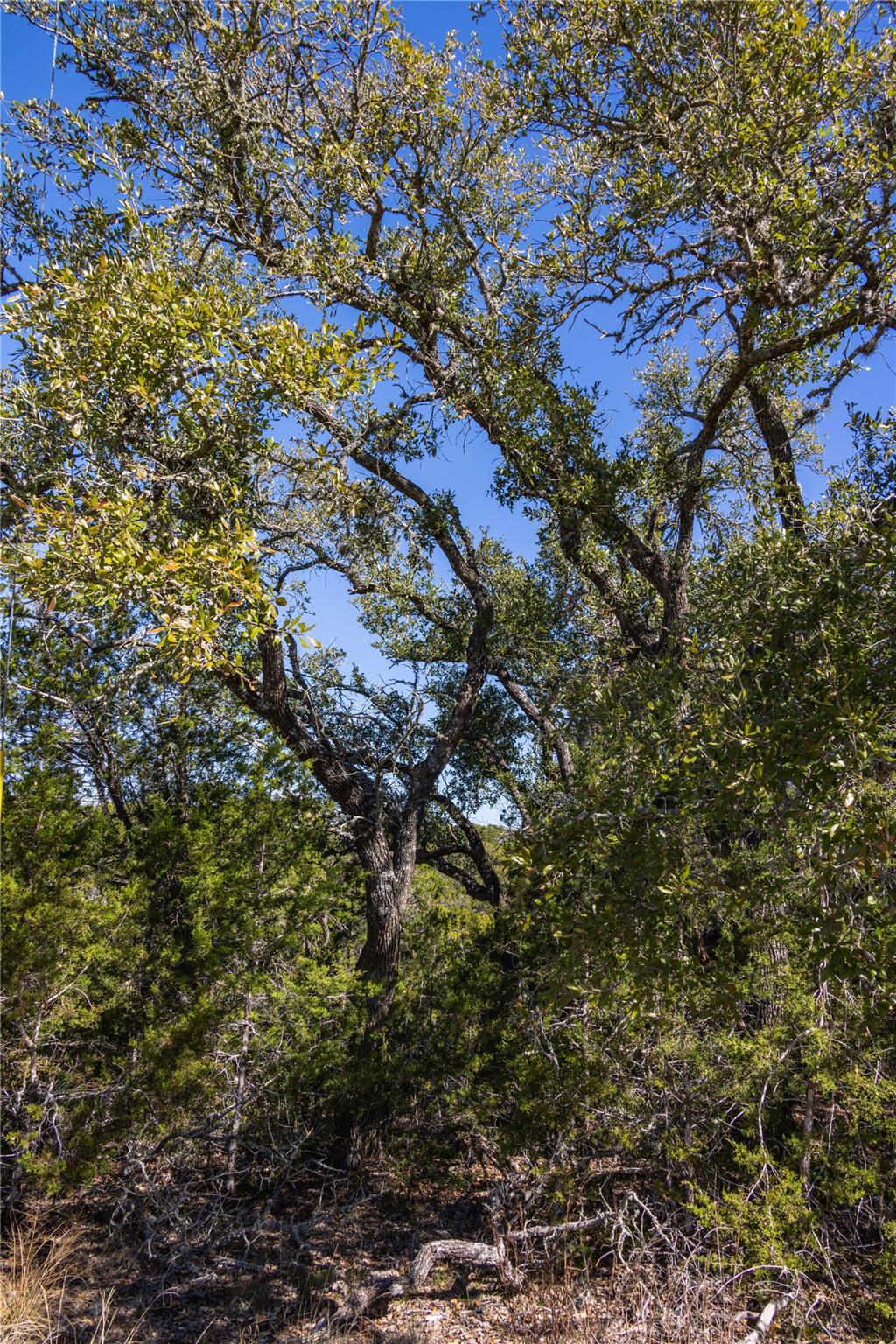 TBD Caliche Rd, Wimberley, TX 78676