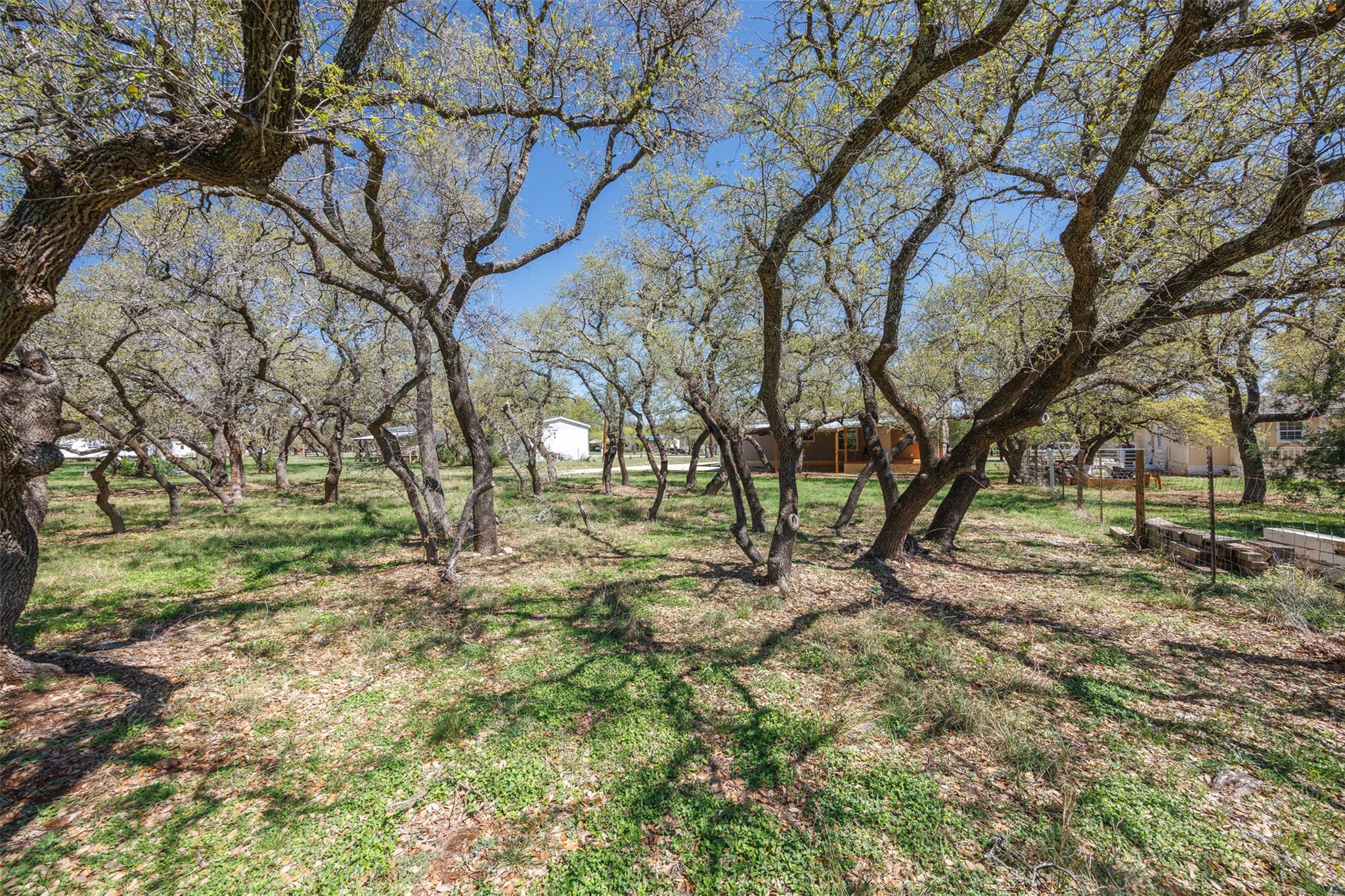103 Spring View Dr, Johnson City, TX 78636
