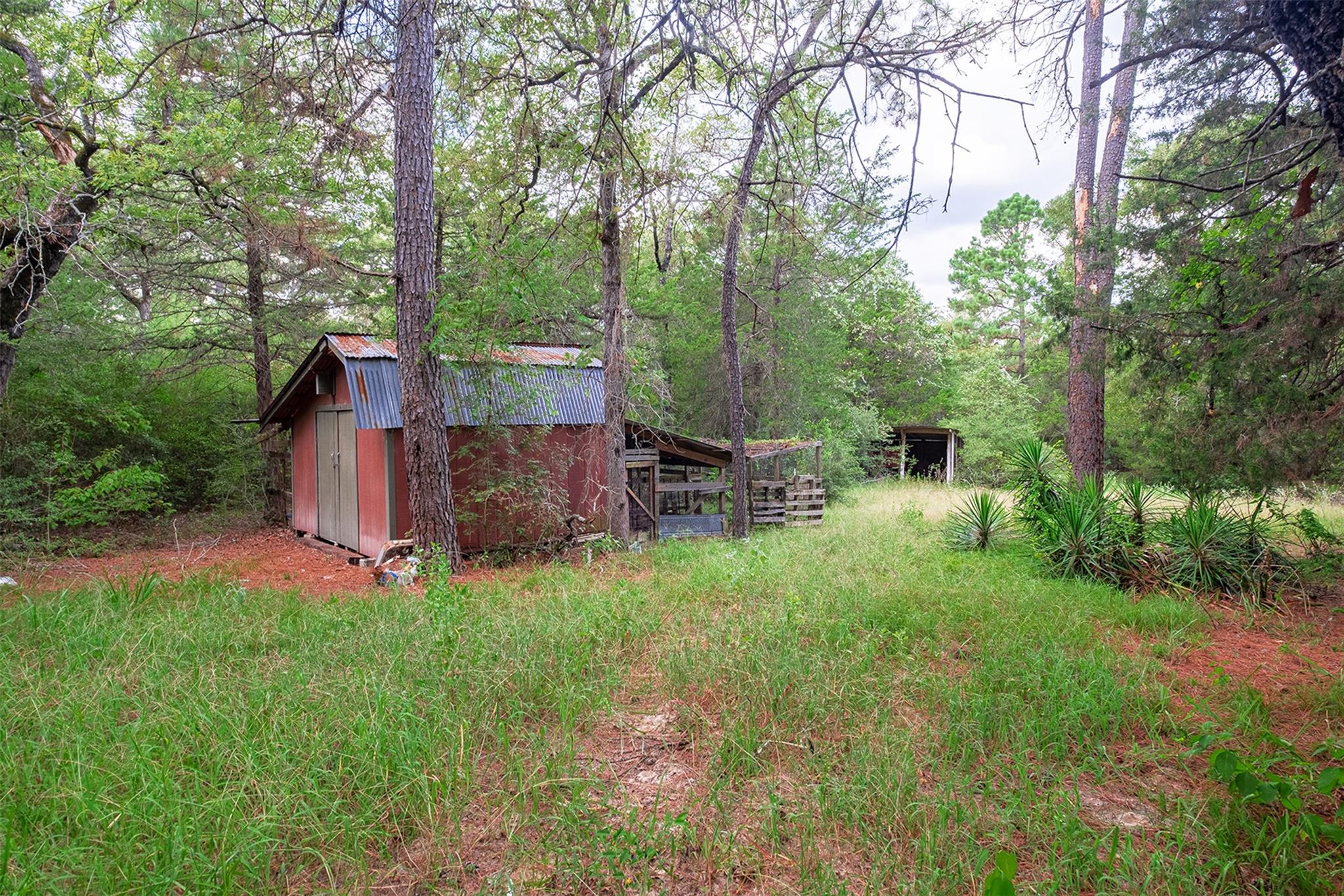143 Old Piney Trl # B, Paige, TX 78659