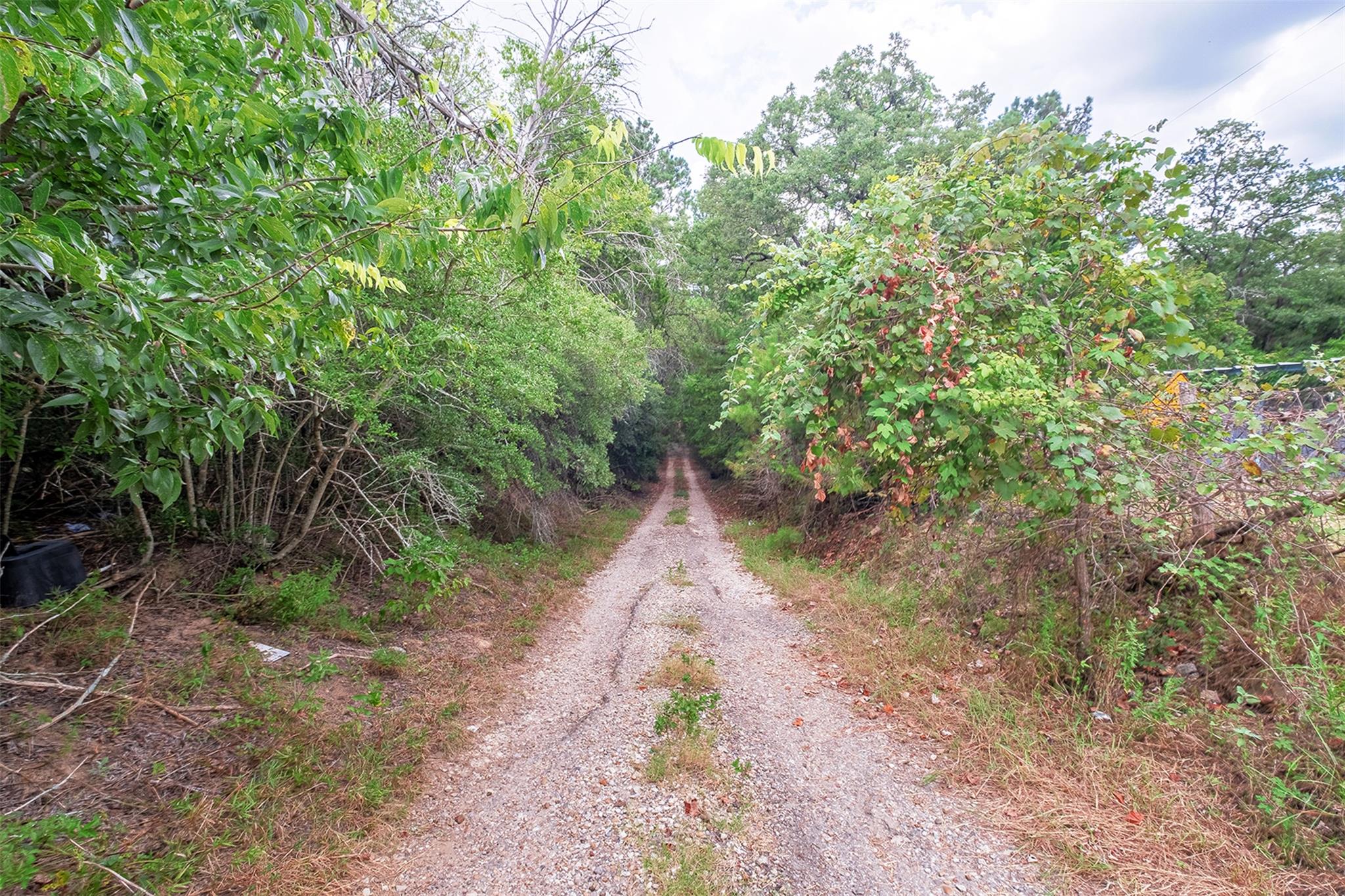 143 Old Piney Trl # B, Paige, TX 78659