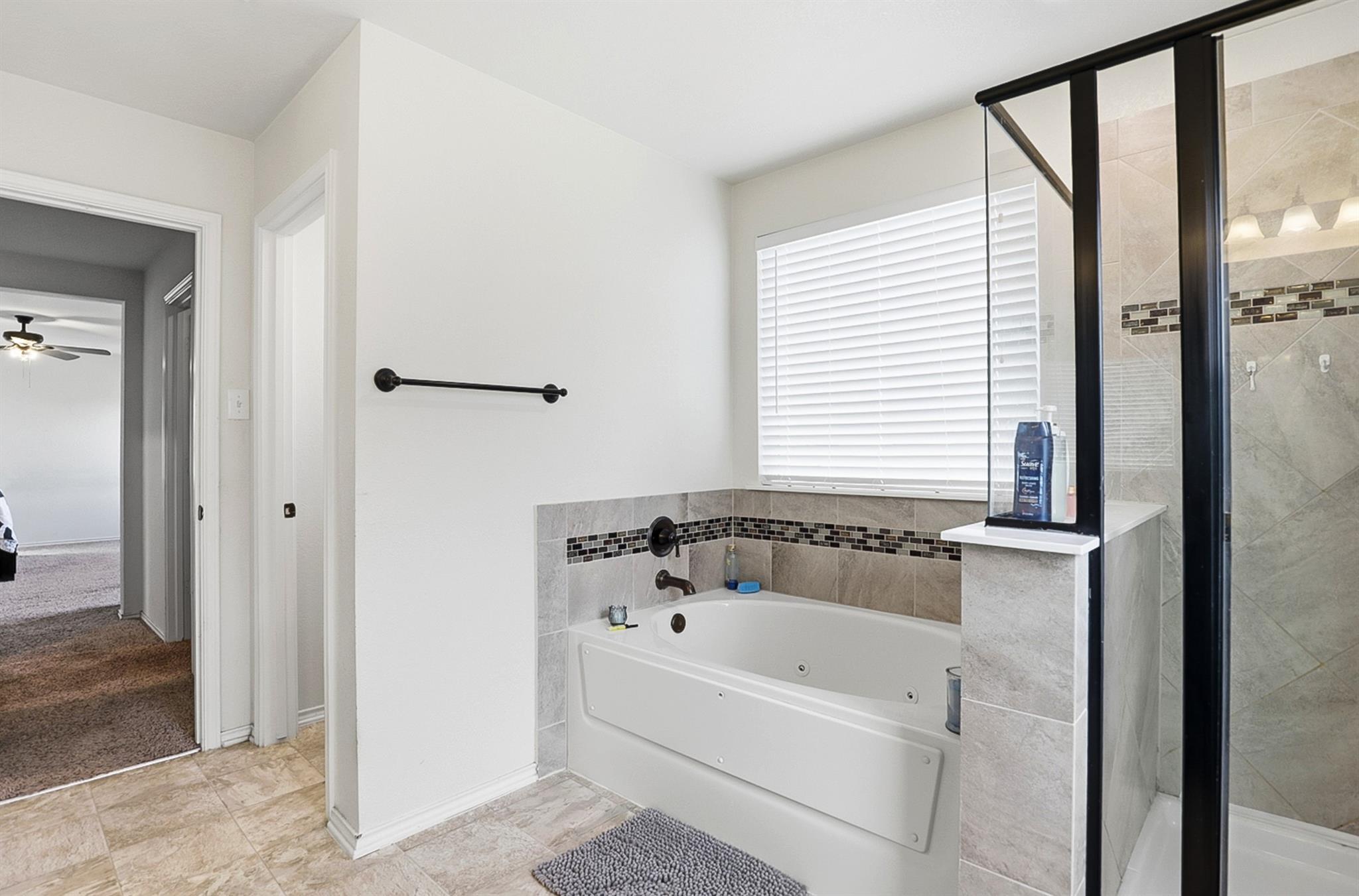 13804 Montpelier St, Manor, TX 78653