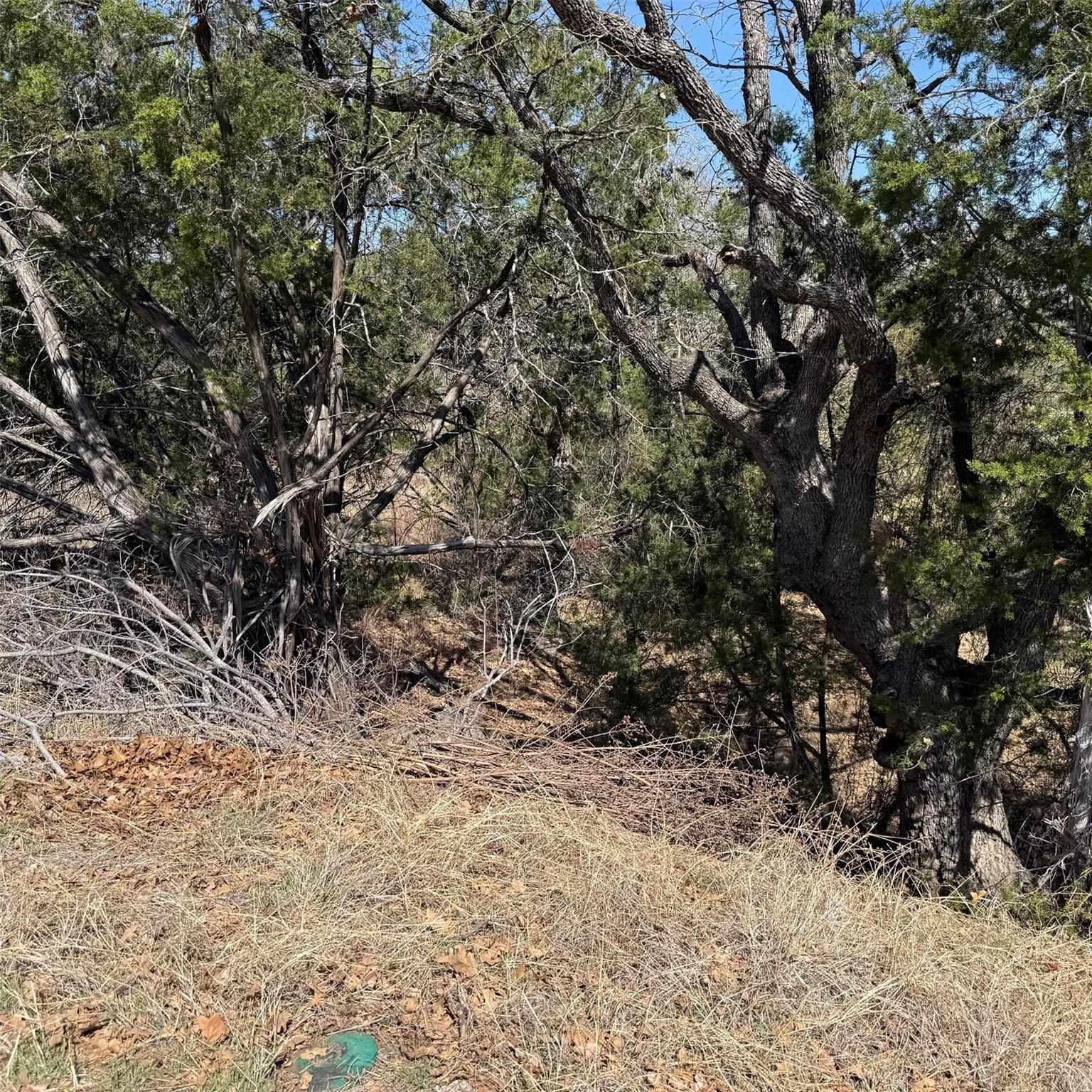 204 Mercury Dr, Horseshoe Bay, TX 78657