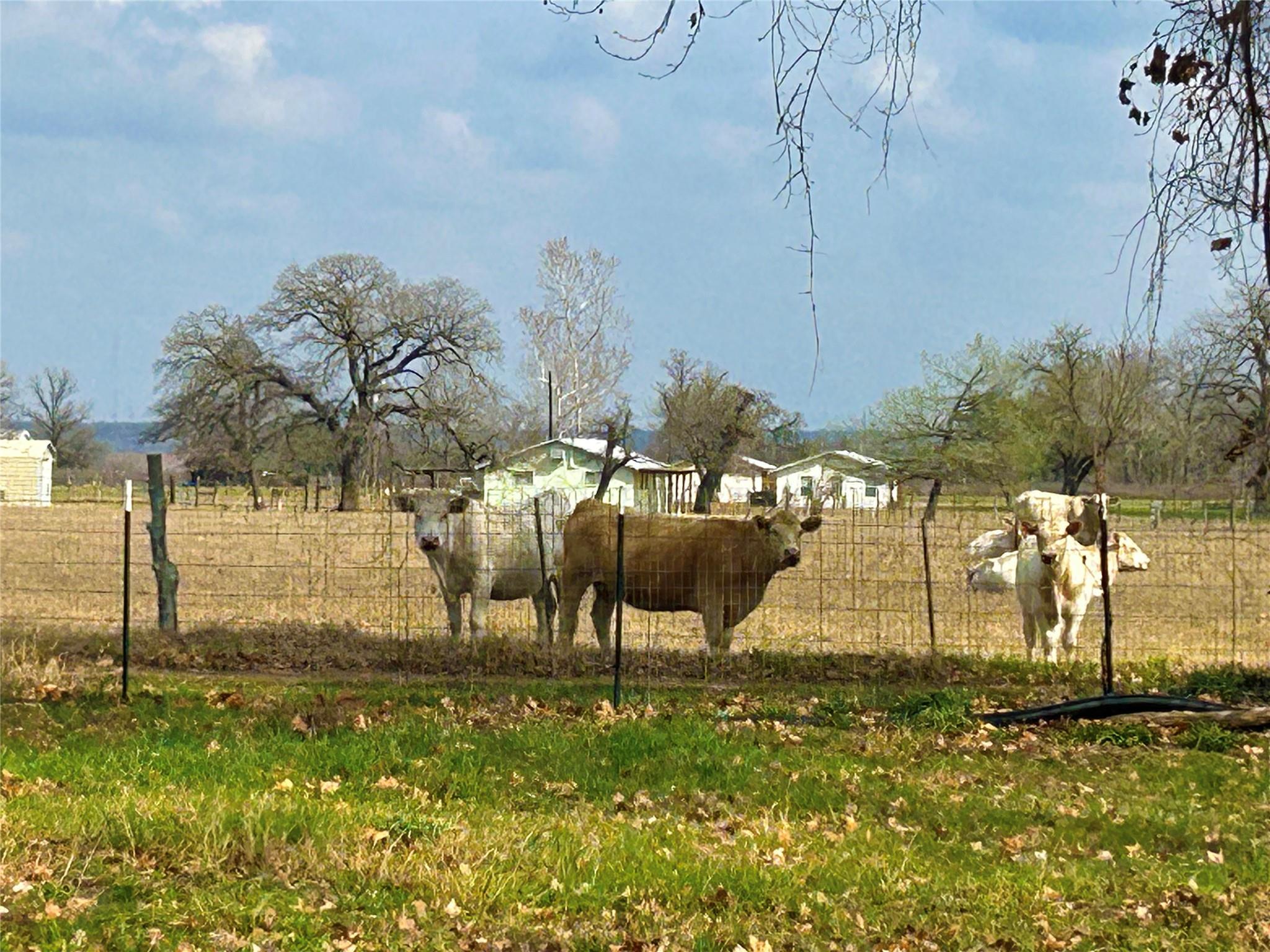 2902 Caldwell Ln # A, Del Valle, TX 78617