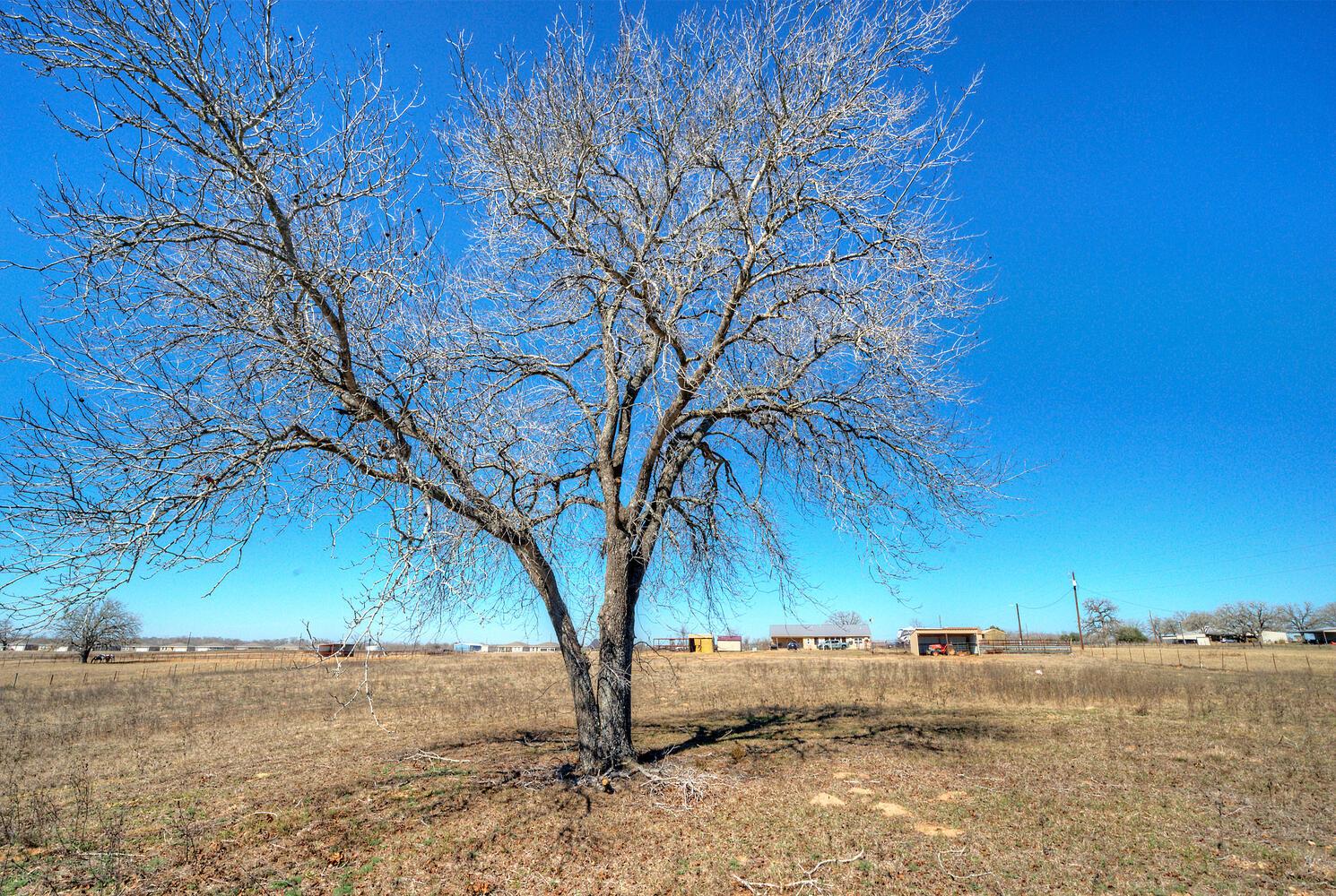 273 Bobs Trl, Bastrop, TX 78602