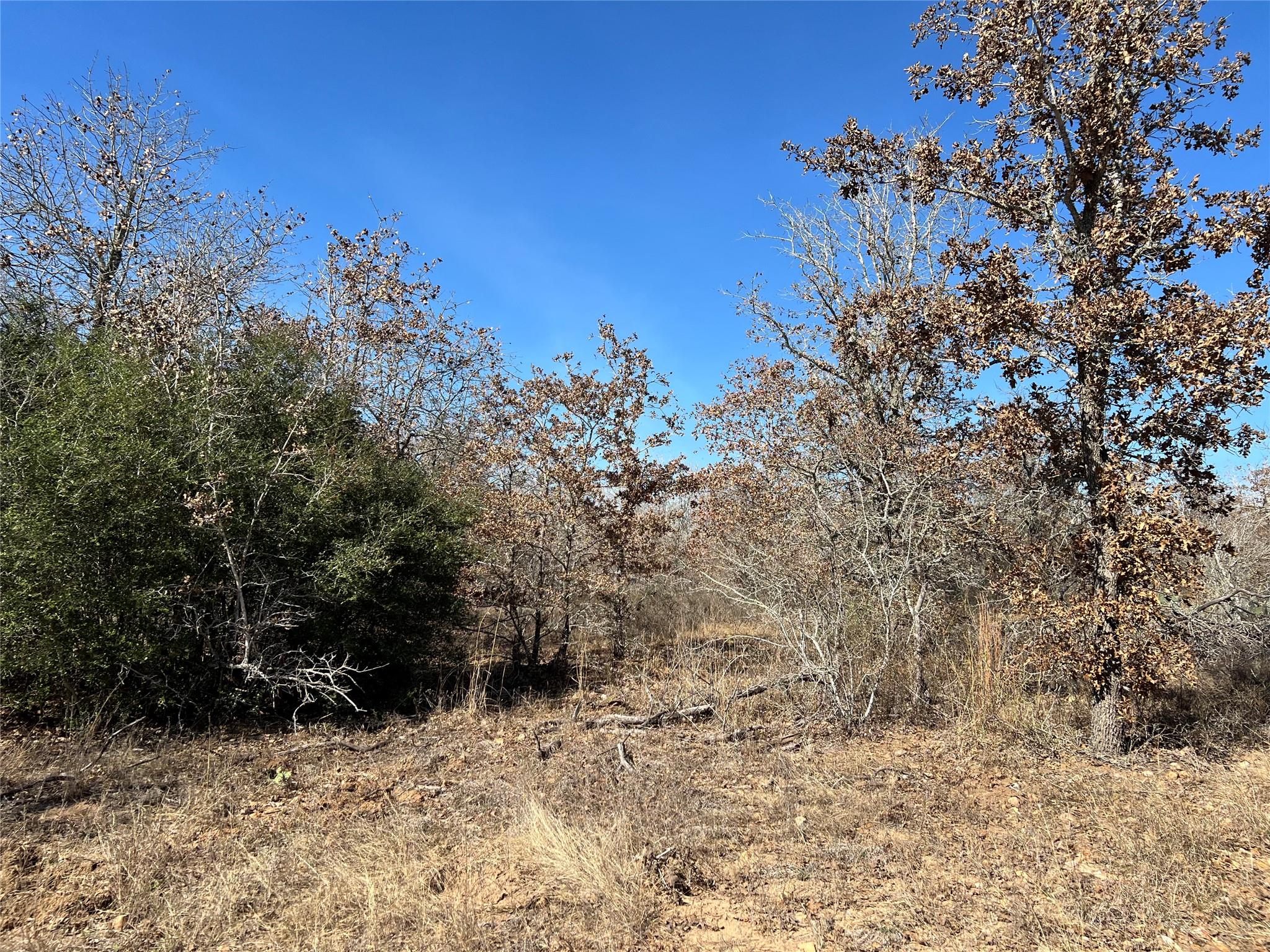 - S Hwy 183, Lockhart, TX 78640