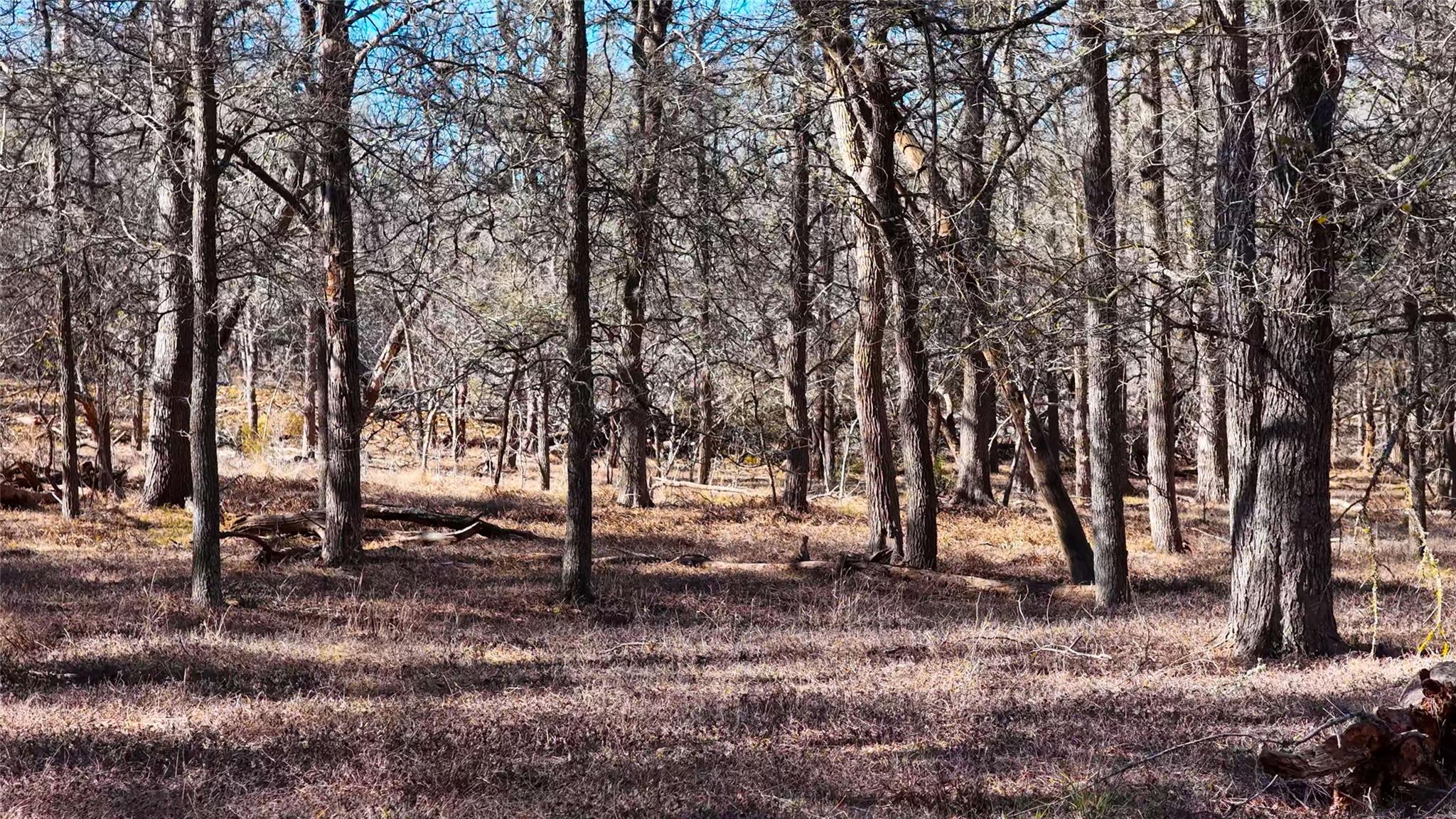 TBD Lytton Ln, Dale, TX 78616