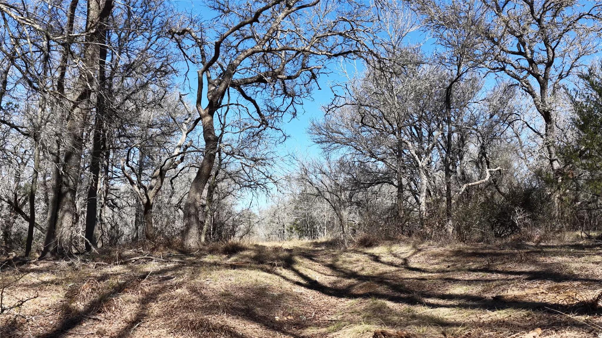 TBD Lytton Ln, Dale, TX 78616