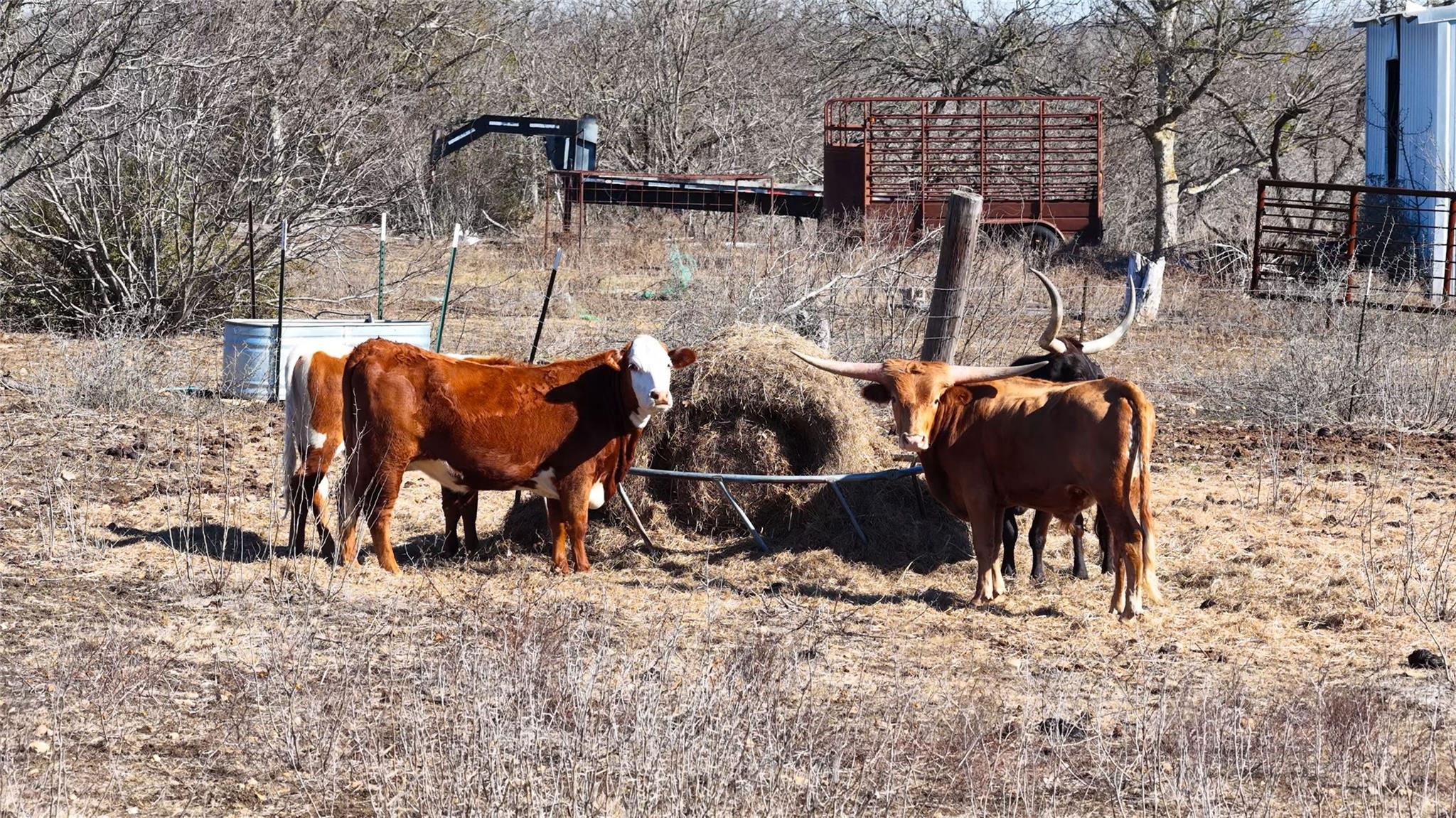 TBD Lytton Ln, Dale, TX 78616