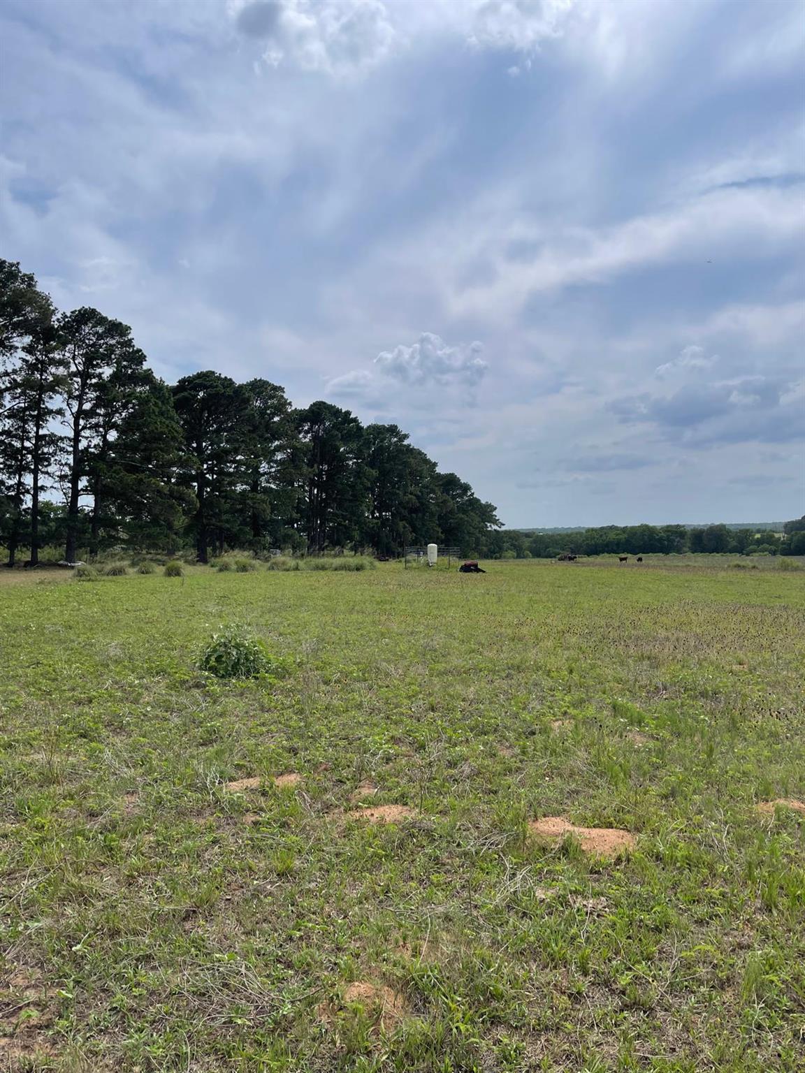 1550 Cattlemens Row, Lockhart, TX 78644