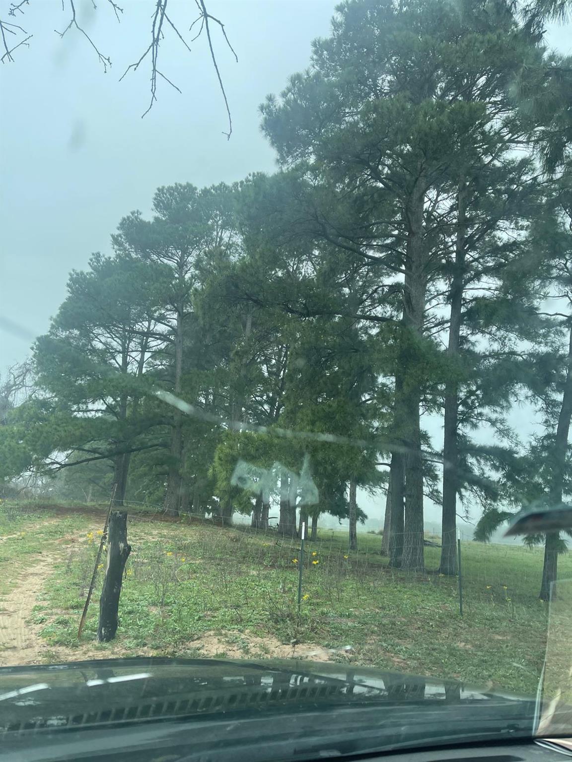 1550 Cattlemens Row, Lockhart, TX 78644