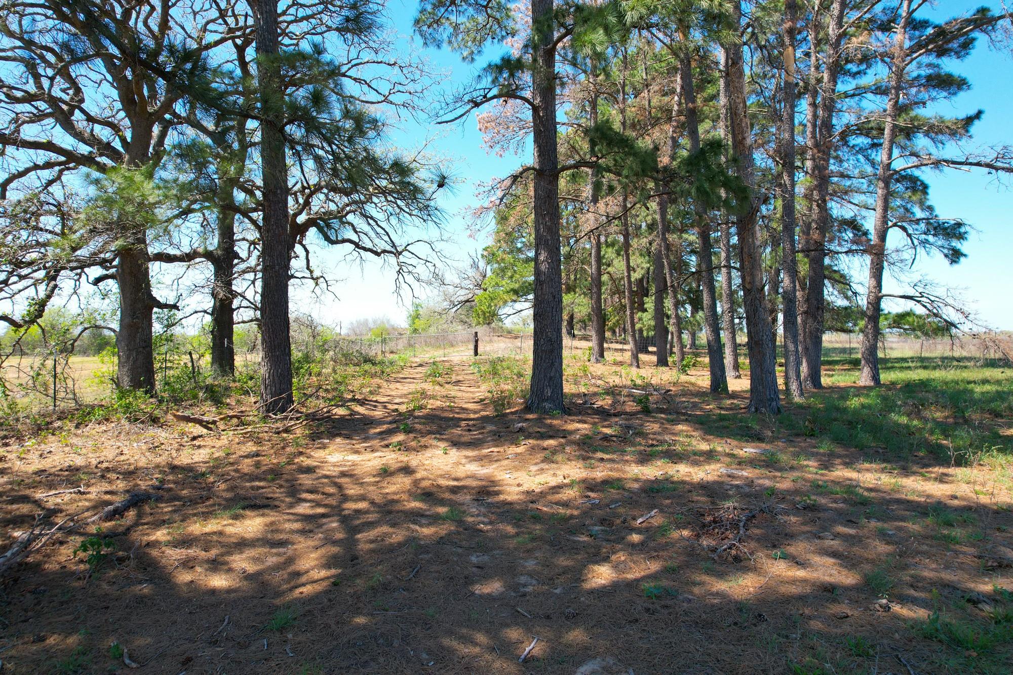 1550 Cattlemens Row, Lockhart, TX 78644