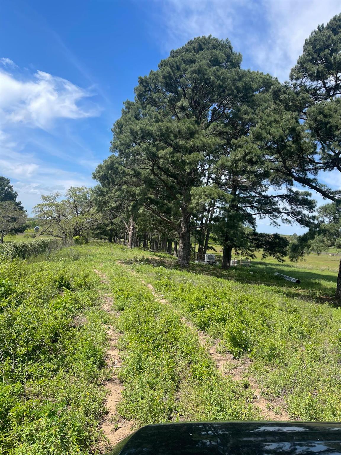 1550 Cattlemens Row, Lockhart, TX 78644