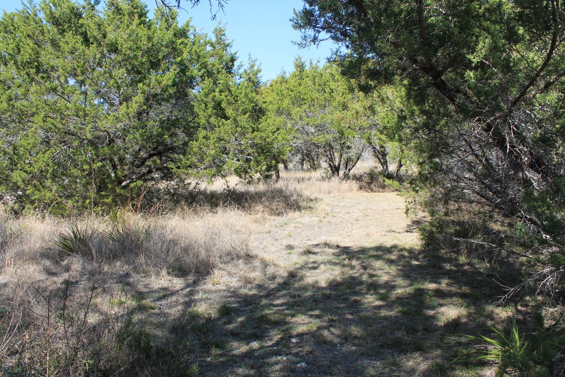 24604 Long Hollow Trl, Leander, TX 78641