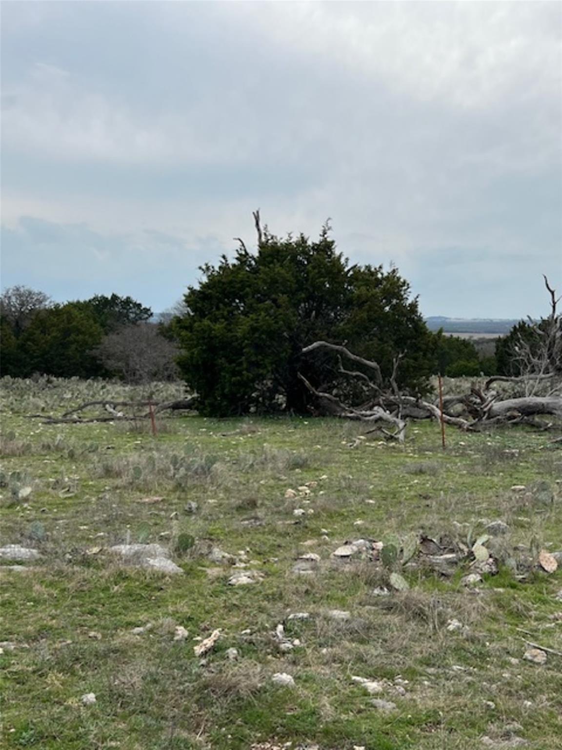 4238 E. FM 581, Lometa, TX 76853