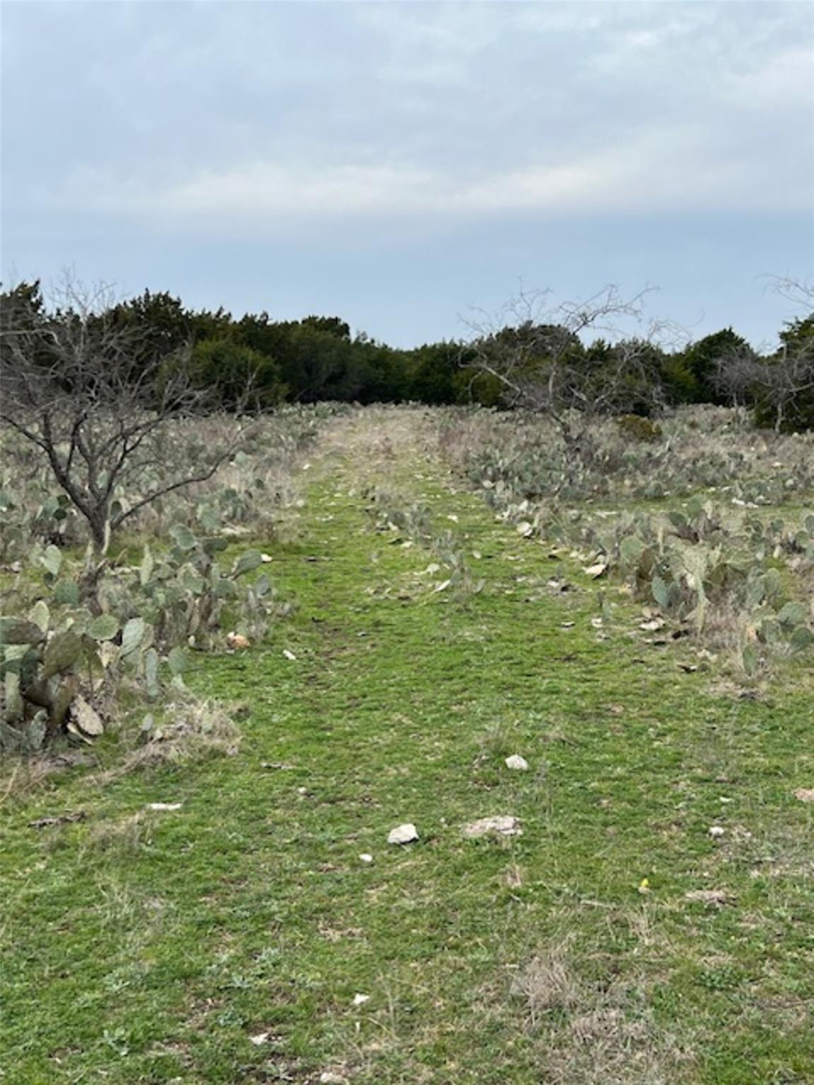 4238 E. FM 581, Lometa, TX 76853