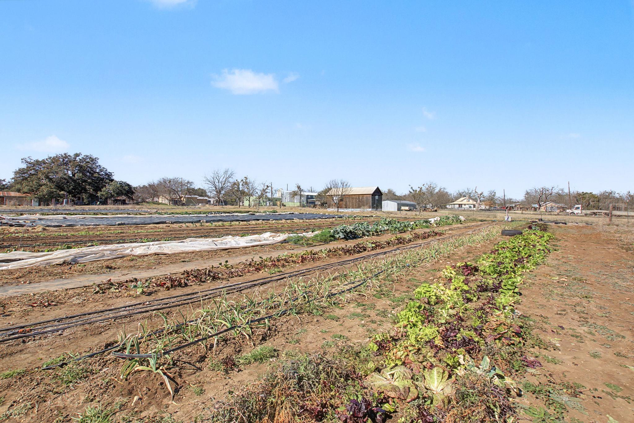 16588 N Us Highway 281 Highway, Lampasas, TX 76550