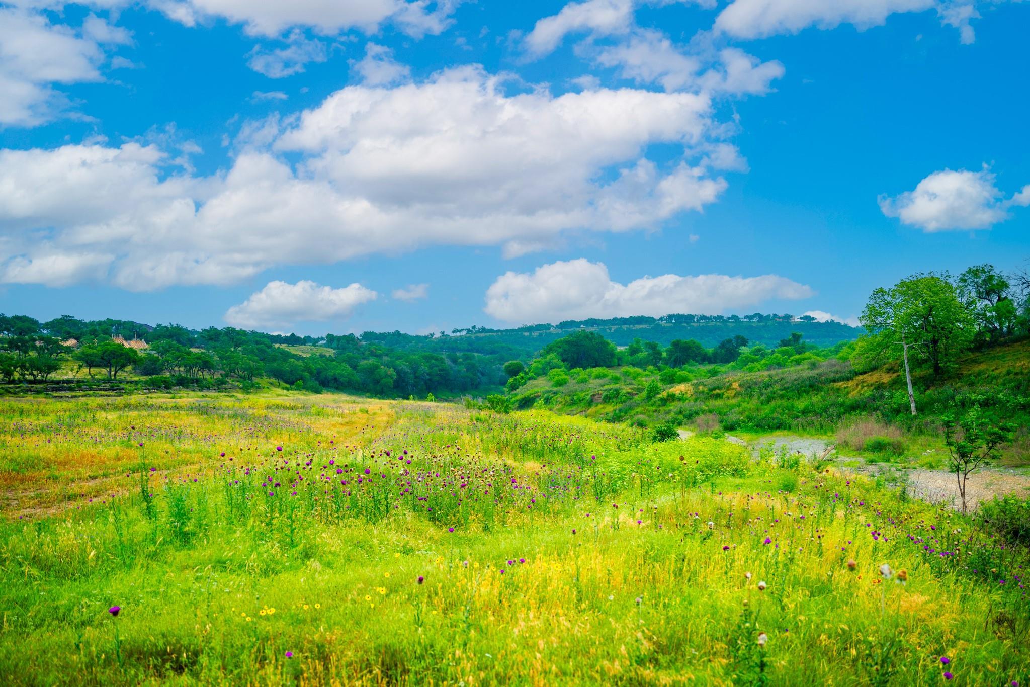 1718 Paradise Pkwy, Canyon Lake, TX 78133