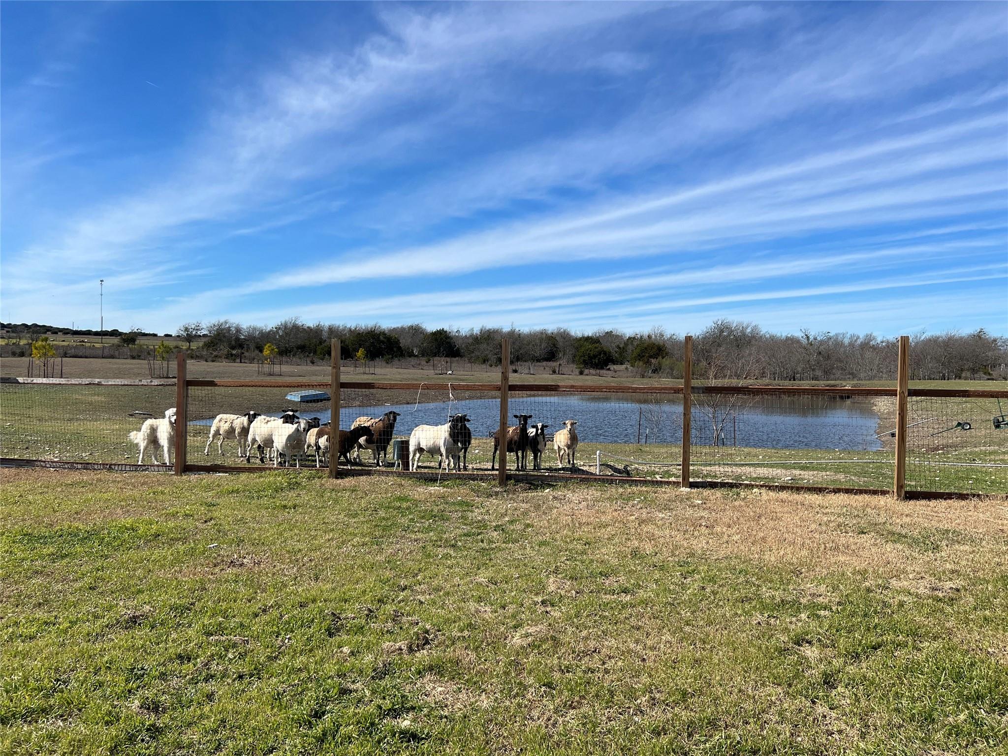 1300 County Road 217, Florence, TX 76527