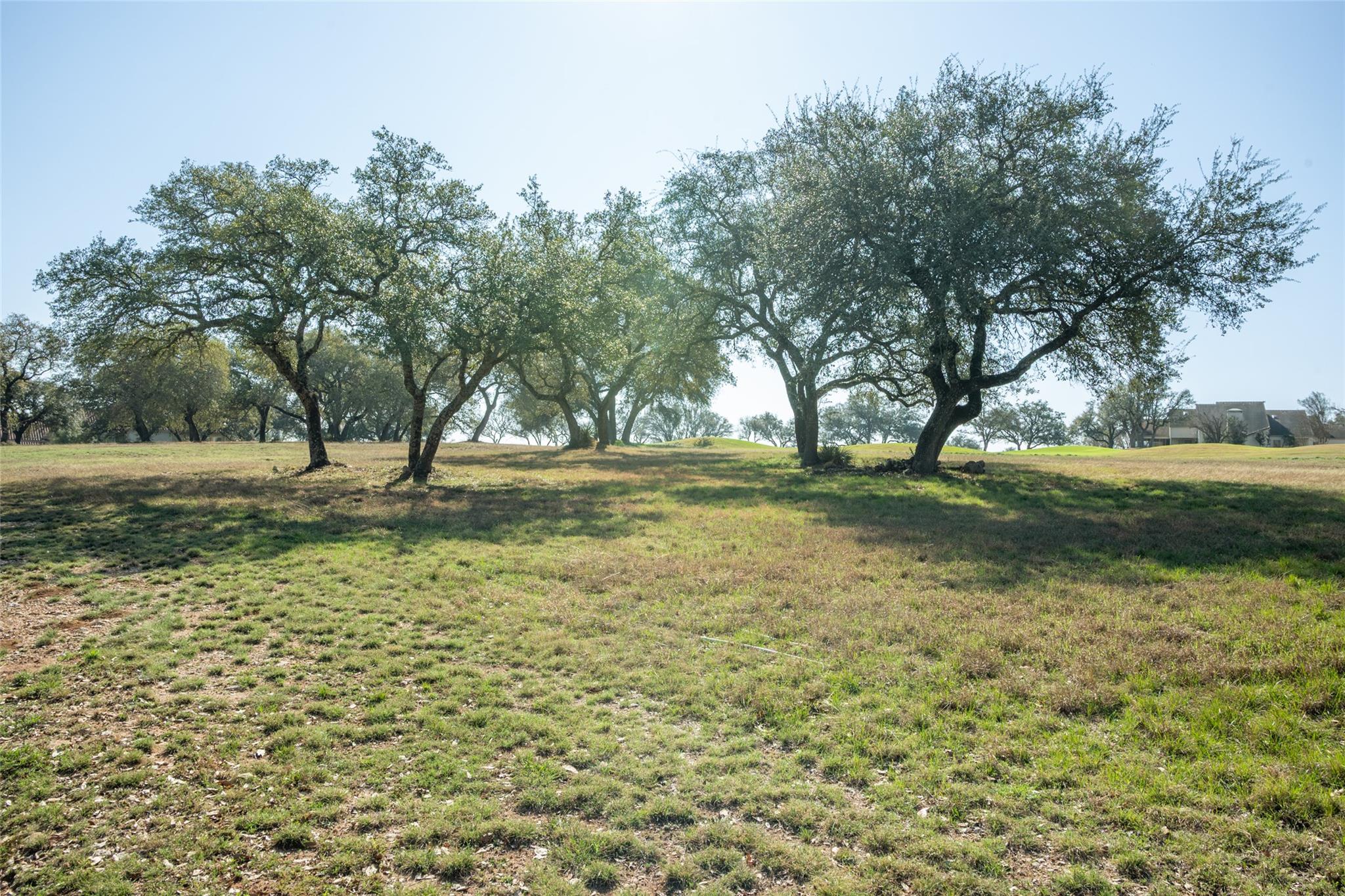 27113 Founders Pl, Spicewood, TX 78669