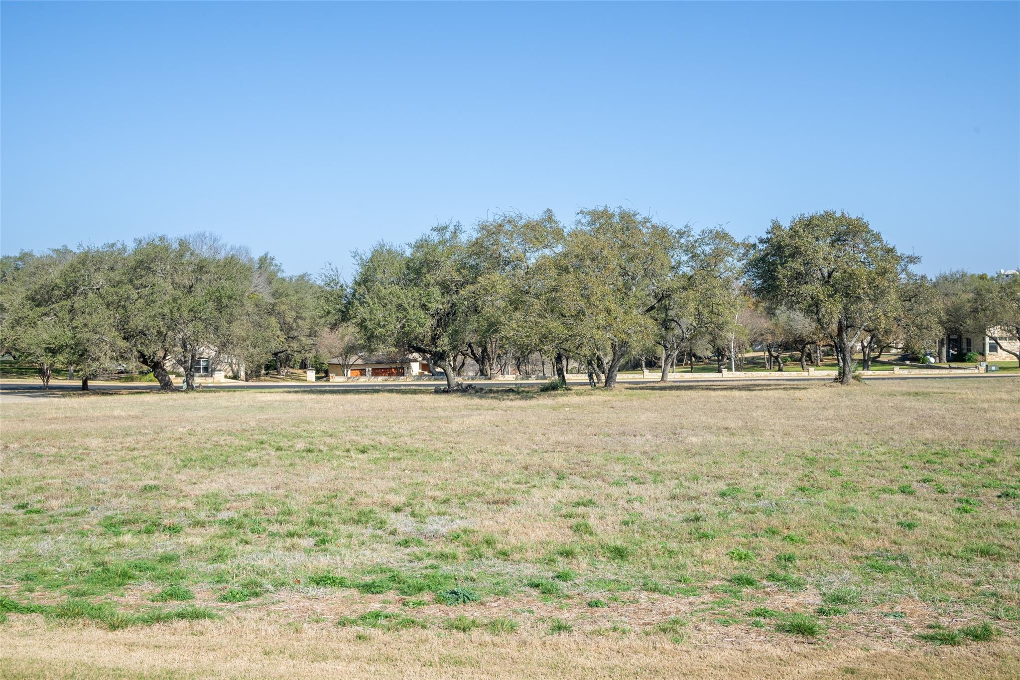 27113 Founders Pl, Spicewood, TX 78669