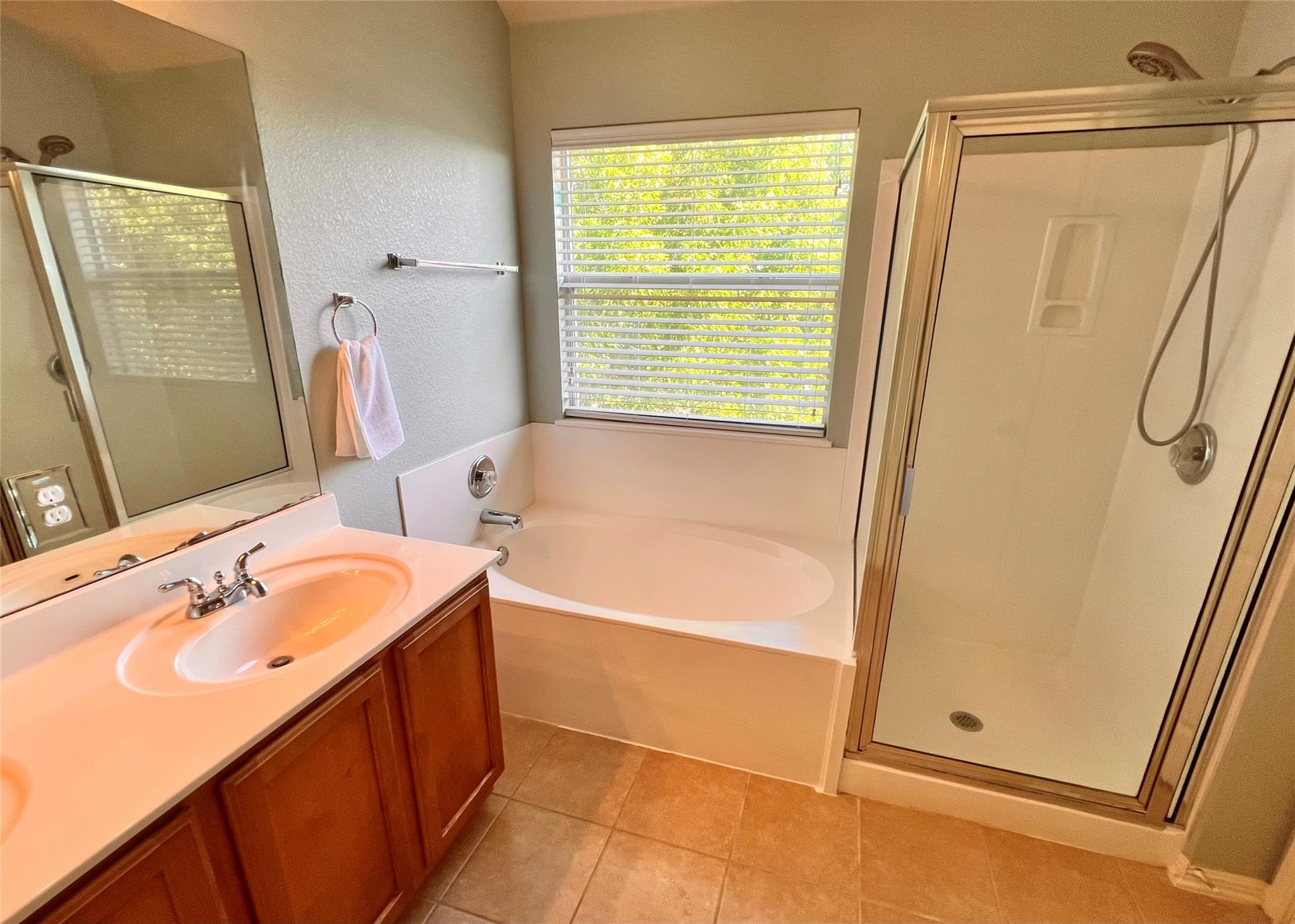 16616 Bridgefarmer Blvd, Pflugerville, TX 78660