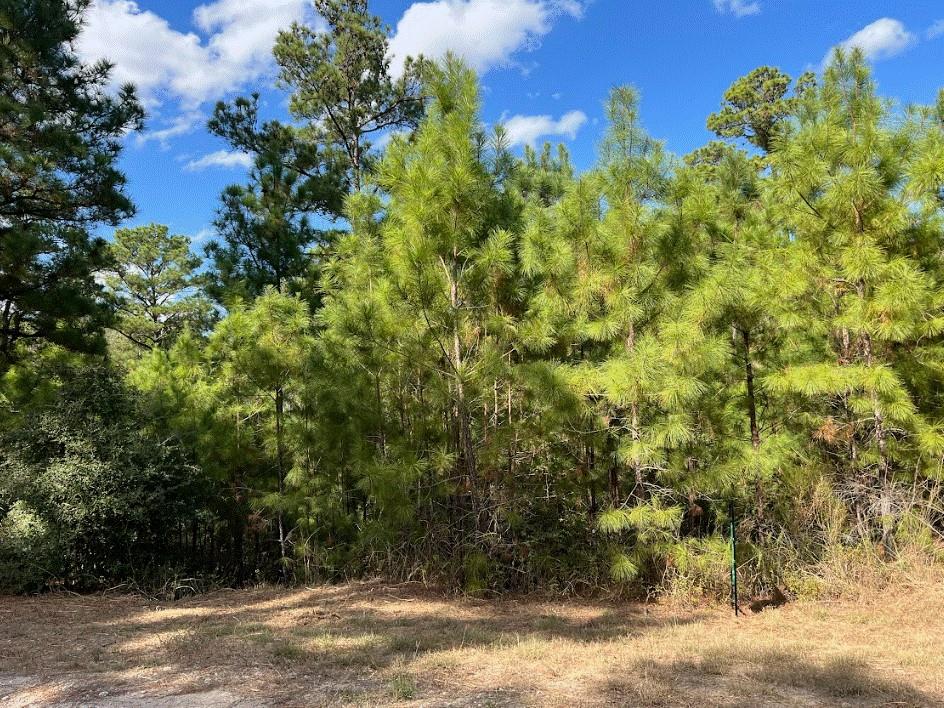 Lot 986 Kailua L Ln, Bastrop, TX 78602