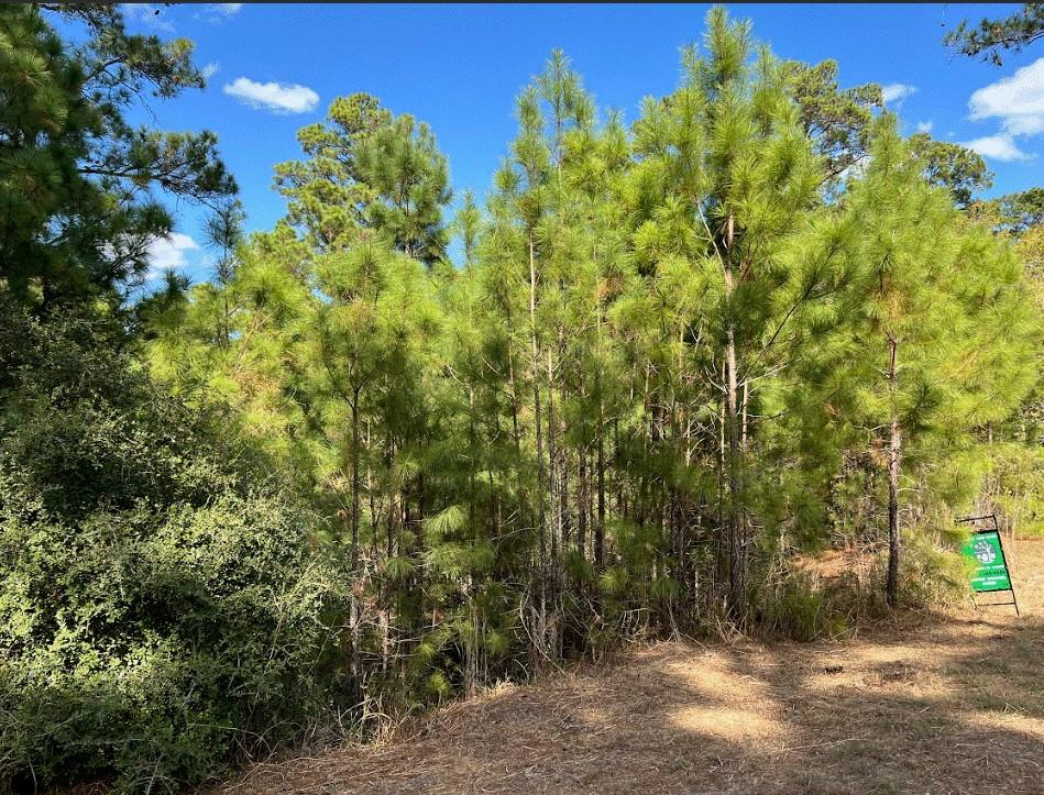Lot 986 Kailua L Ln, Bastrop, TX 78602